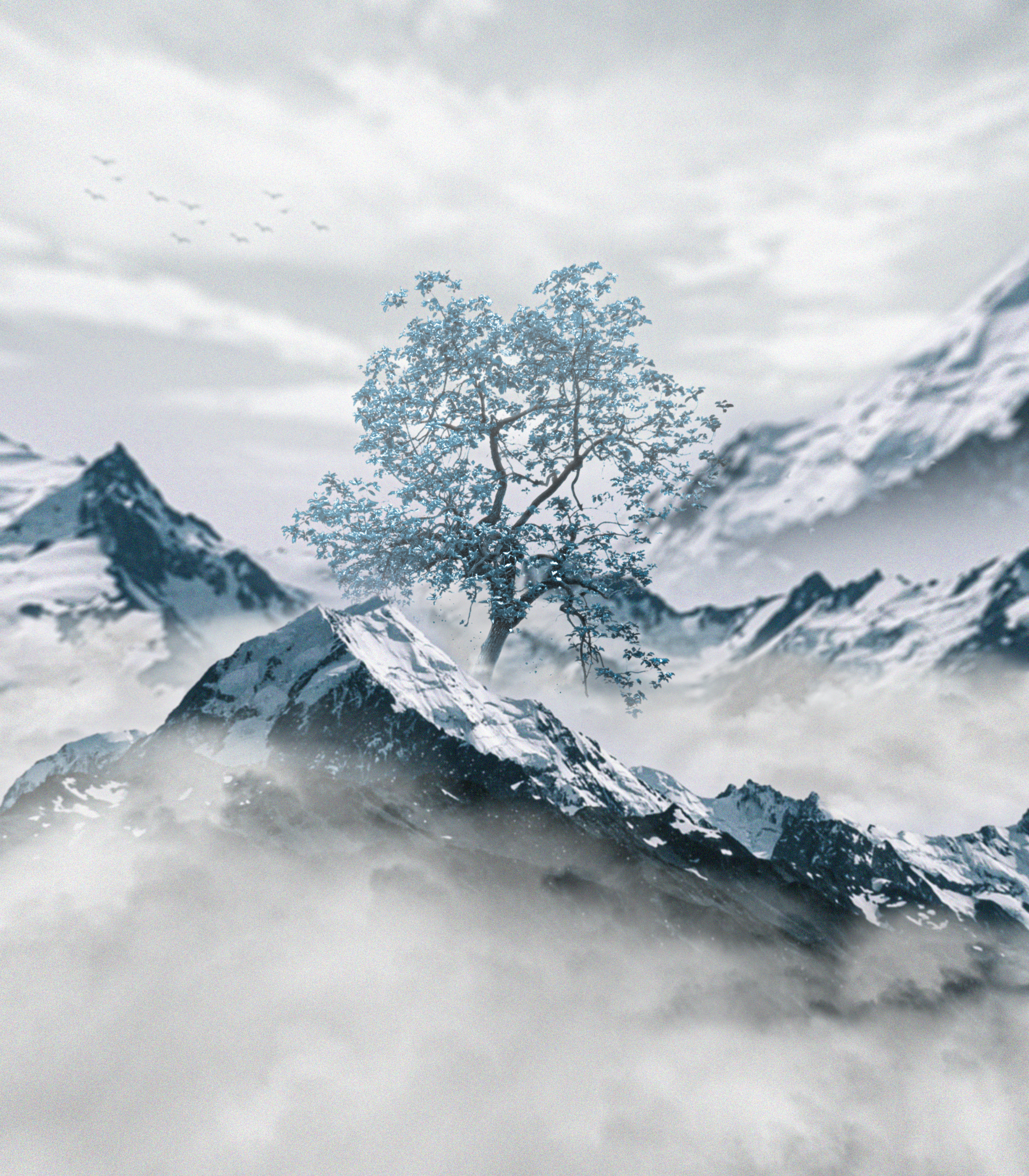 Arctic Serenity