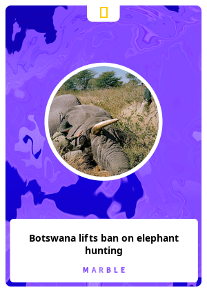 Botswana lifts ban on elephant hunting