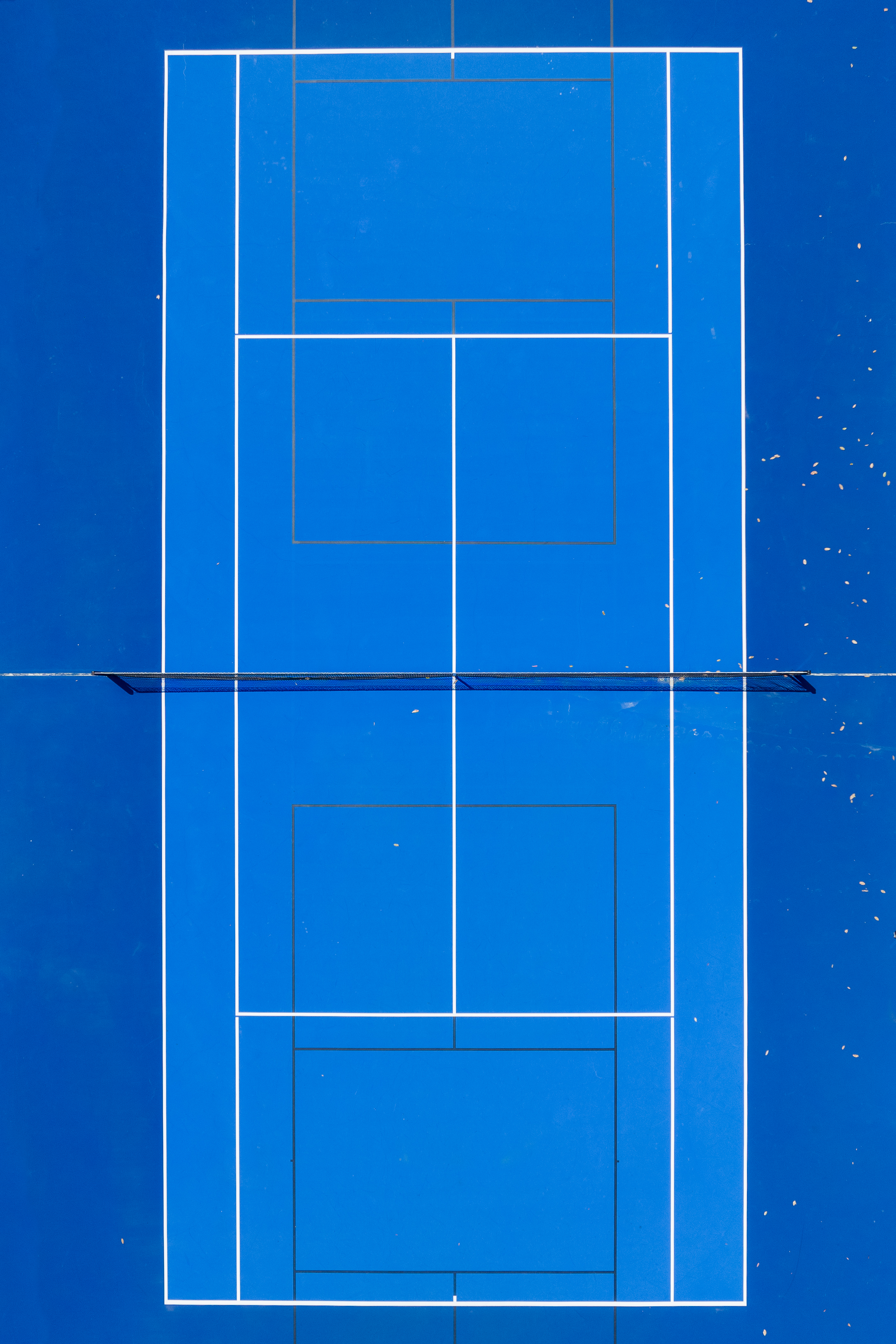 Court 14