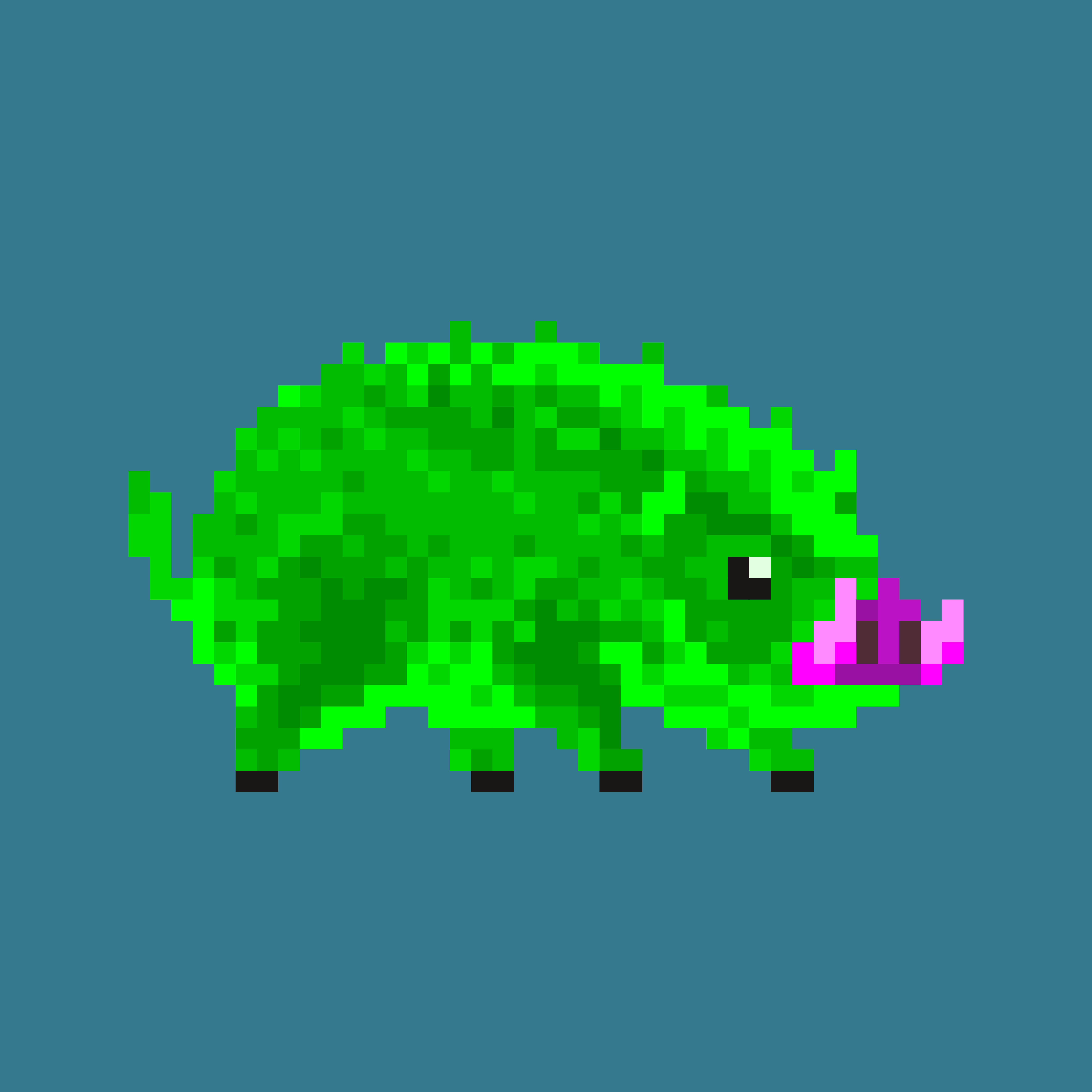 SaltPig #10
