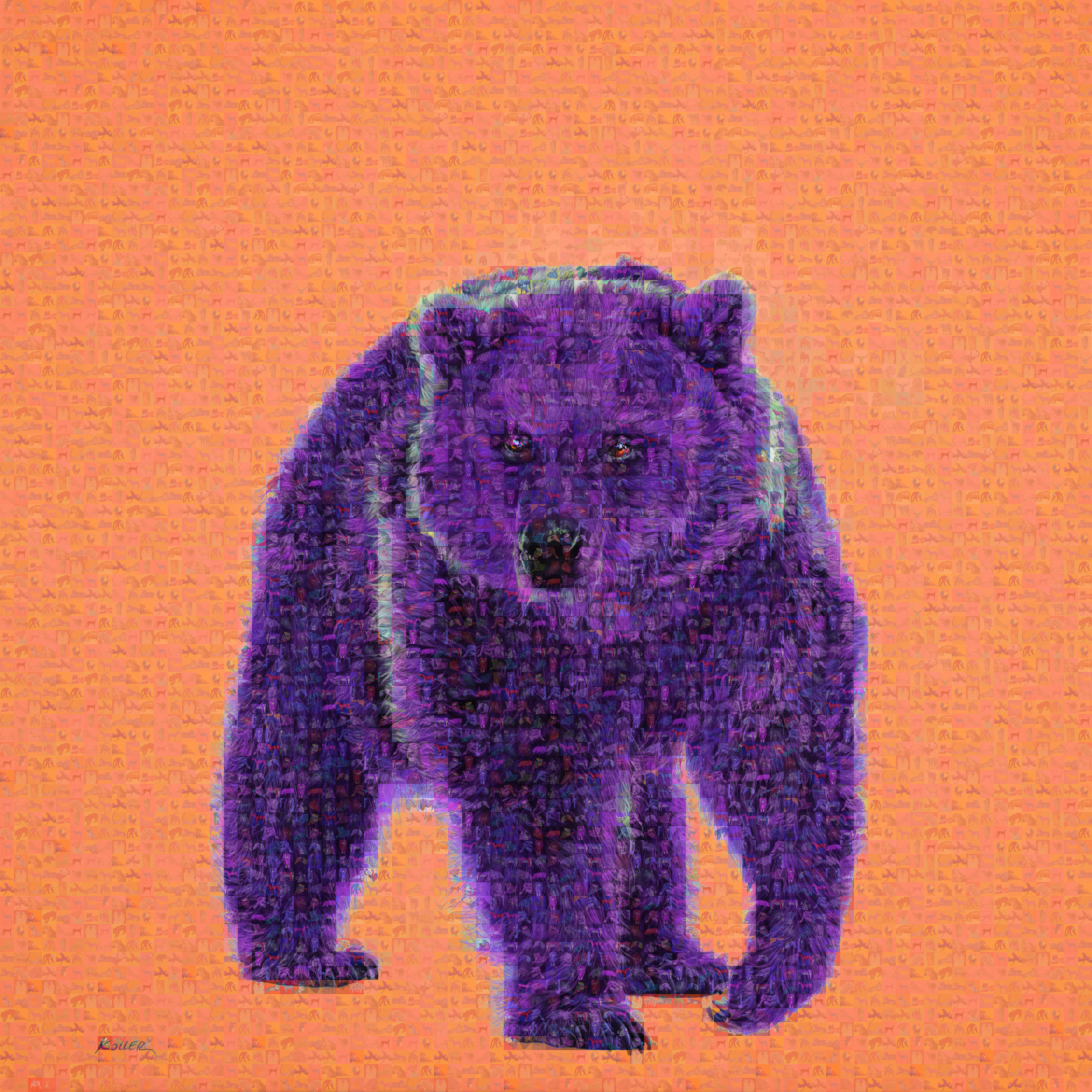BEAR ON ORANGE