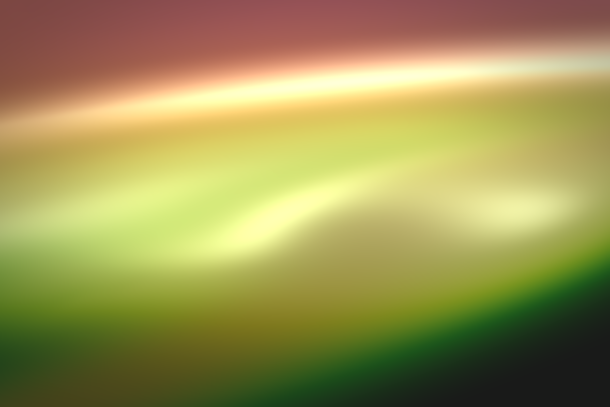 Flux #206