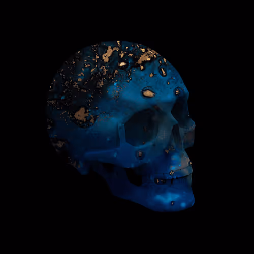 Skulls By Pierre #96