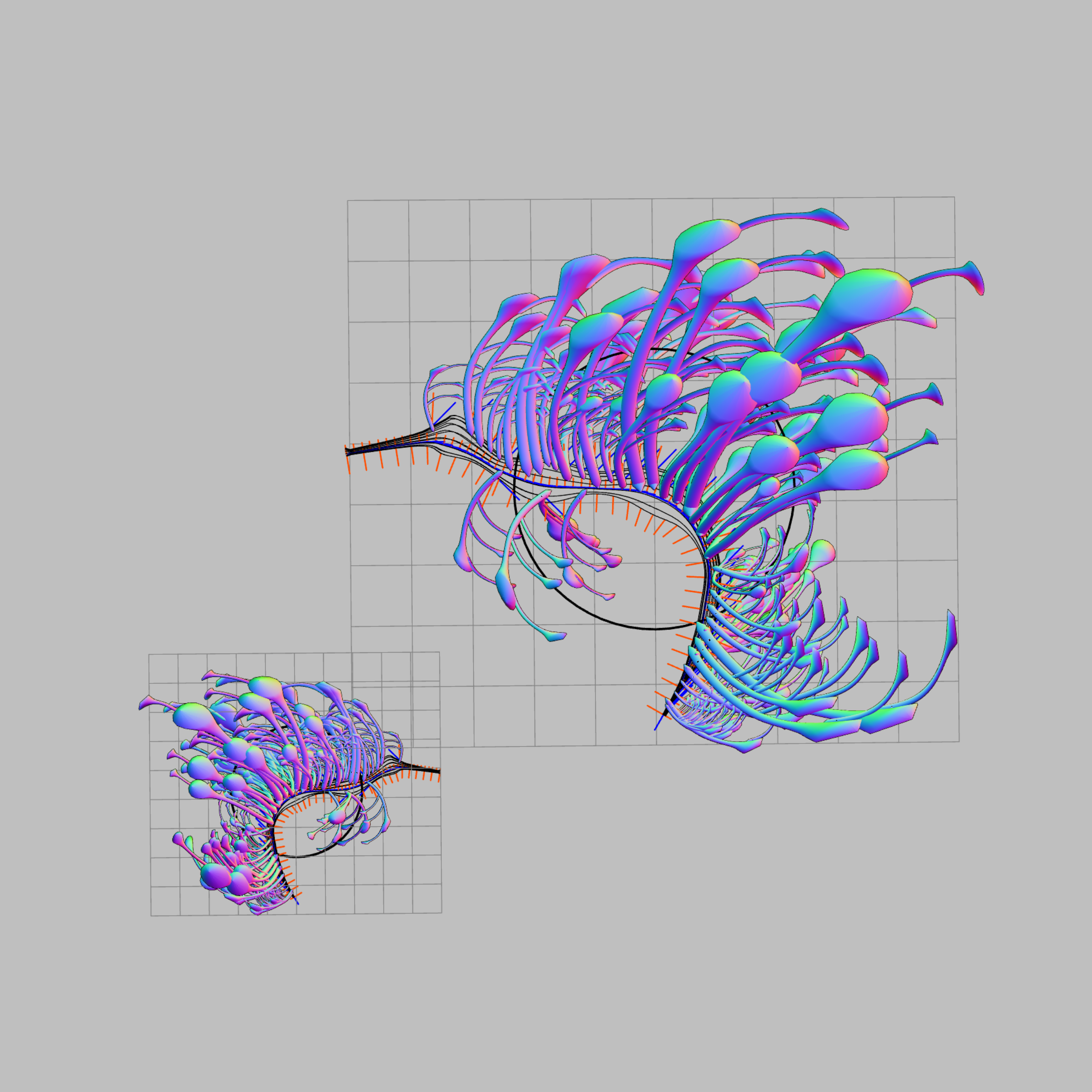 Seadragons #270