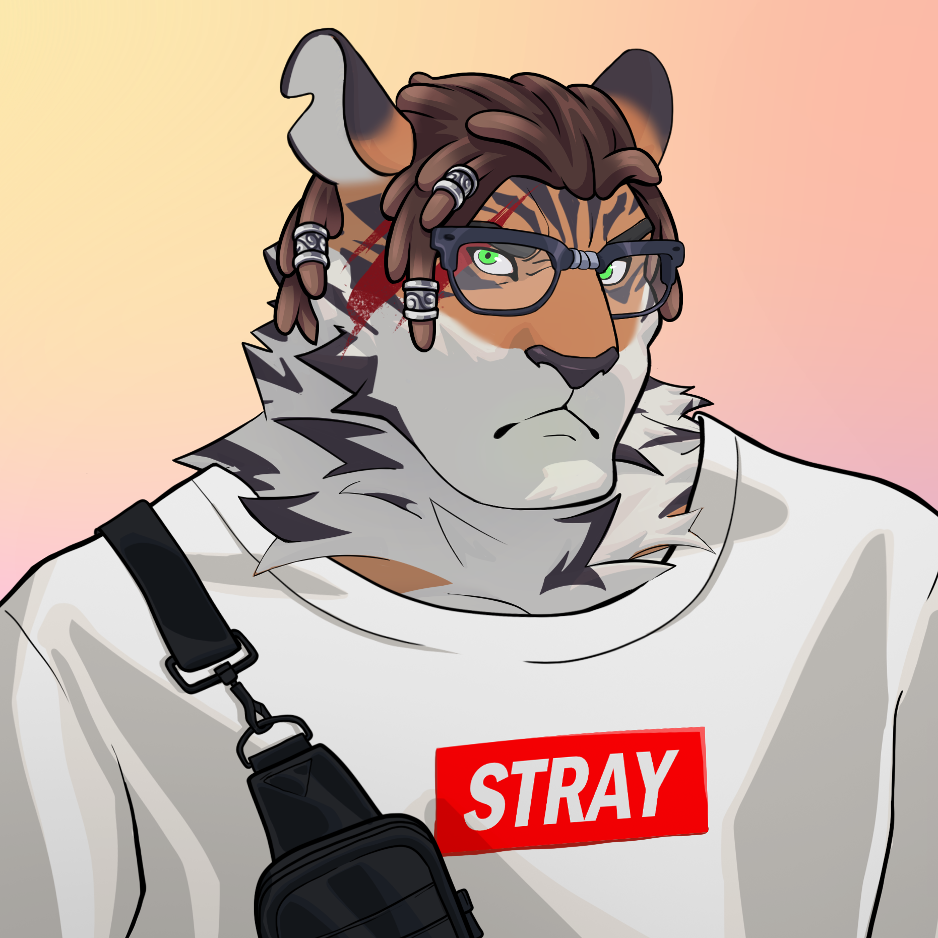 Stray Cat #190
