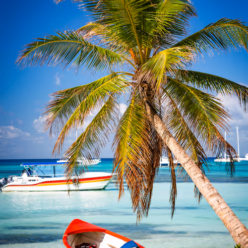 Saona