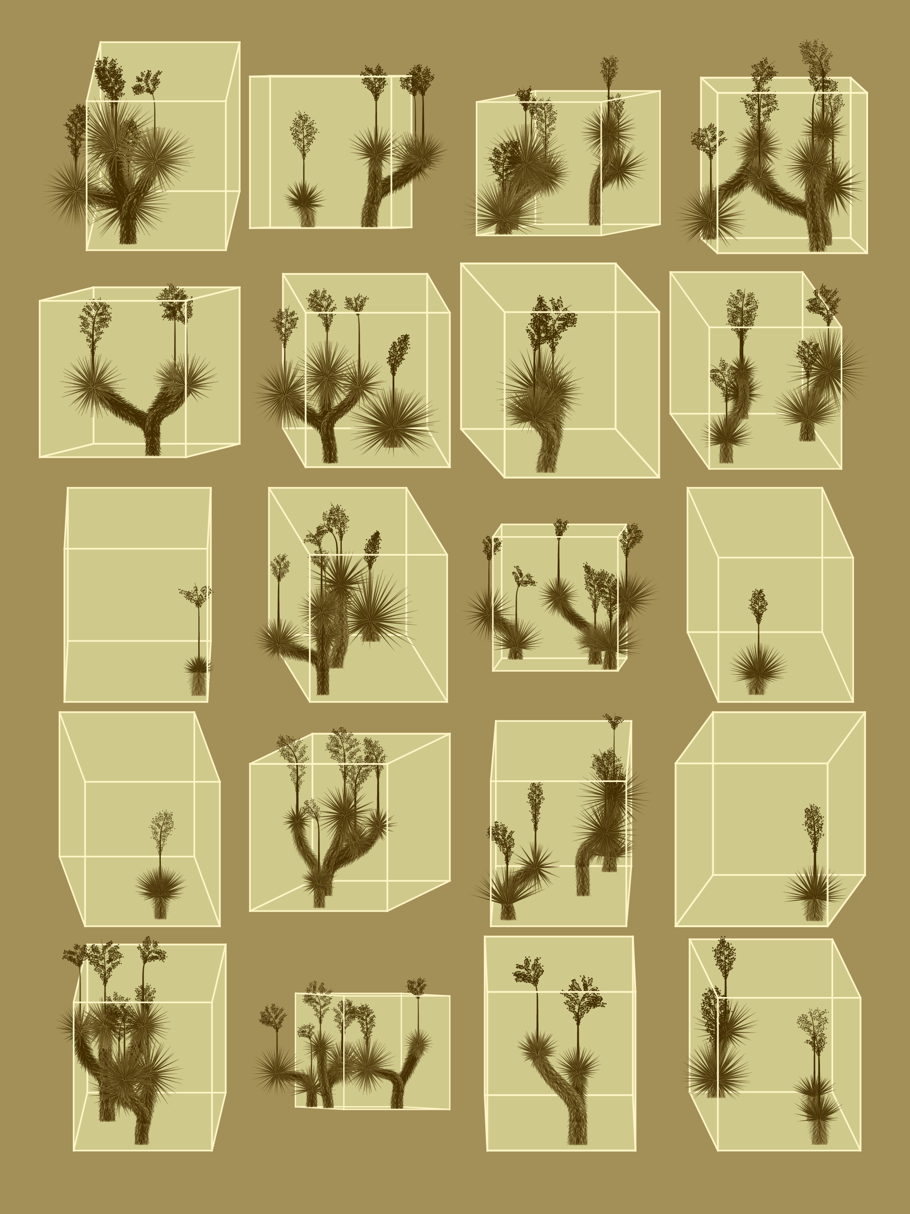 Marfa Yucca #129