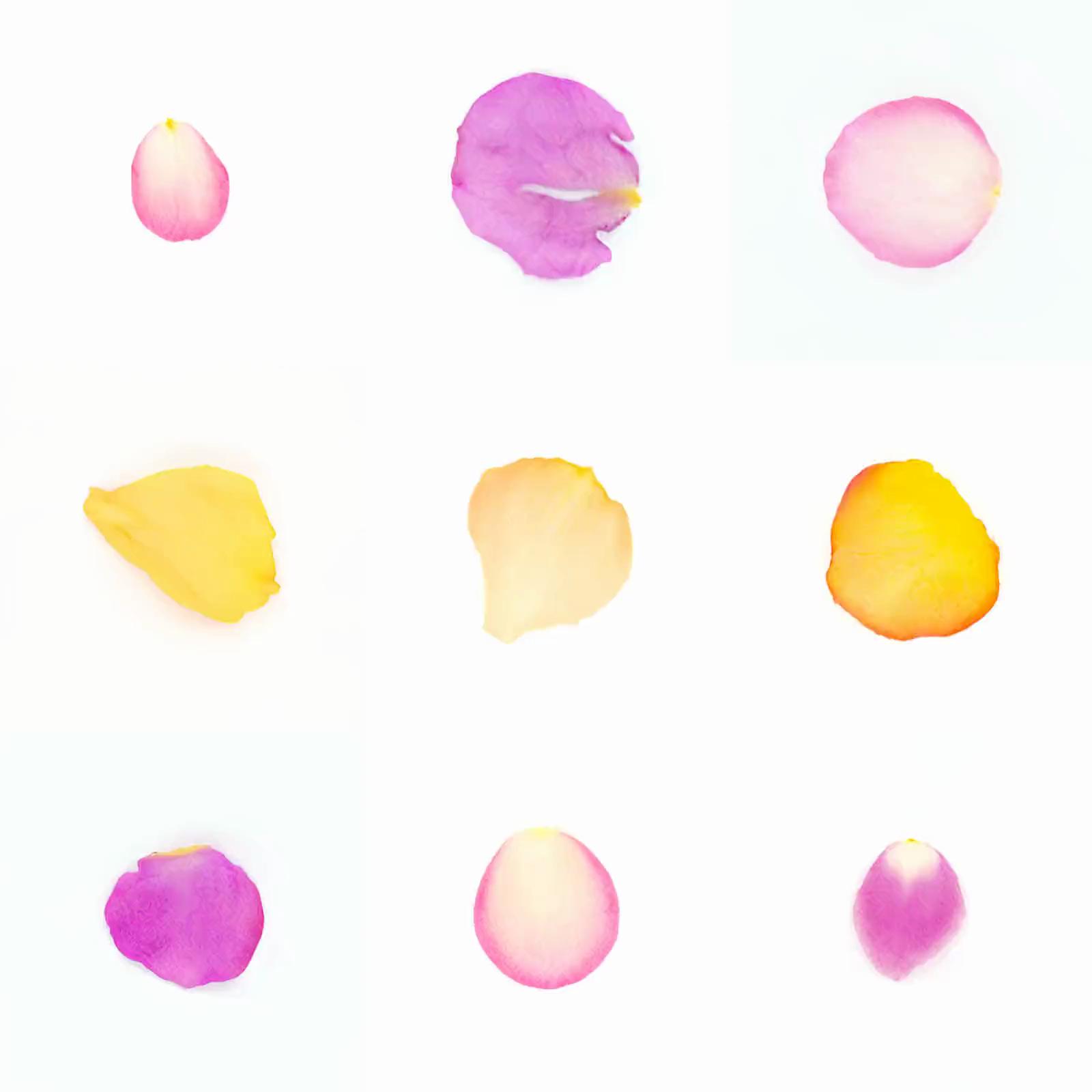Infinite Petals 3x3#3209