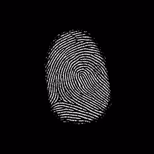 Subject 85