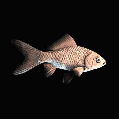CryptoFish #2158