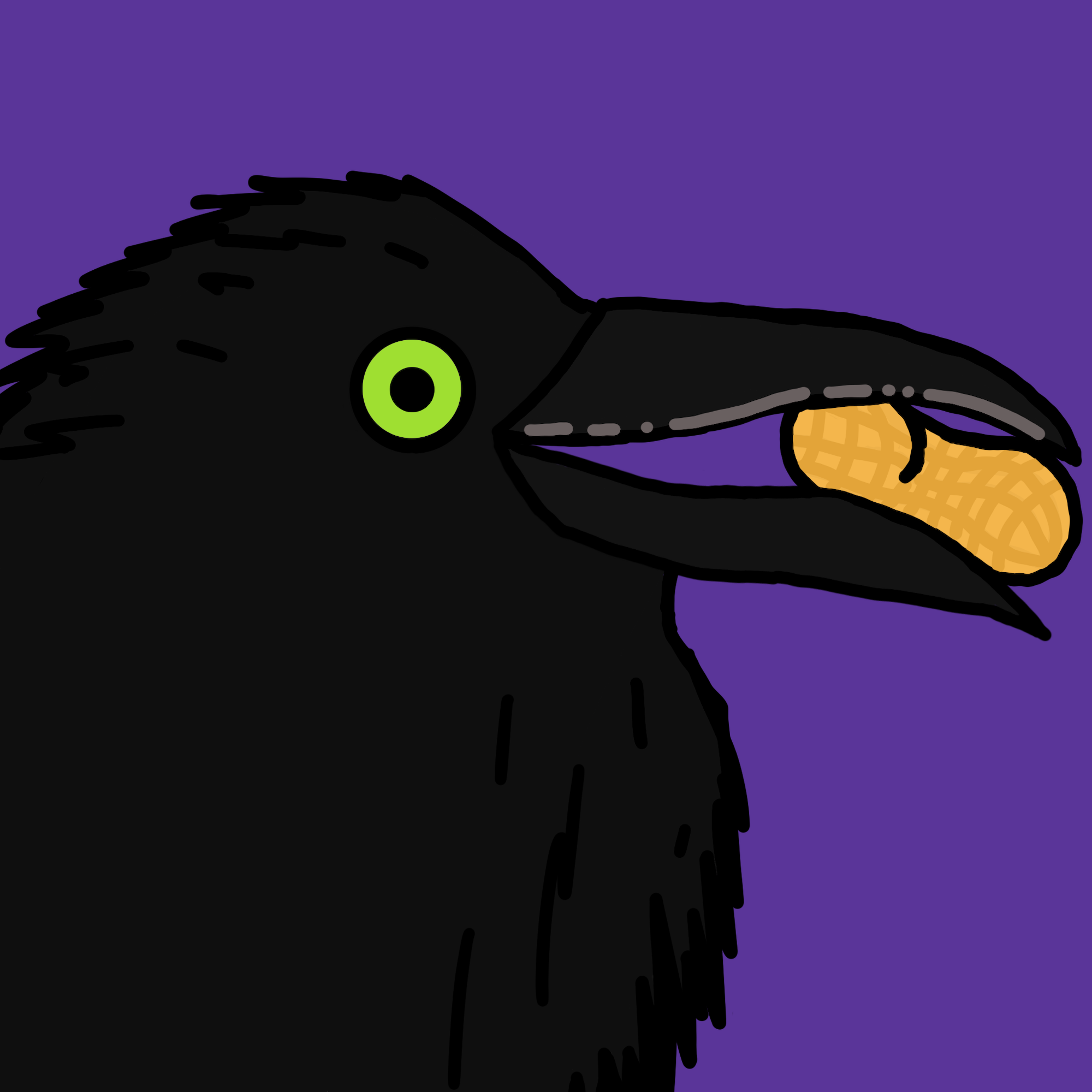 Crow Friends #668