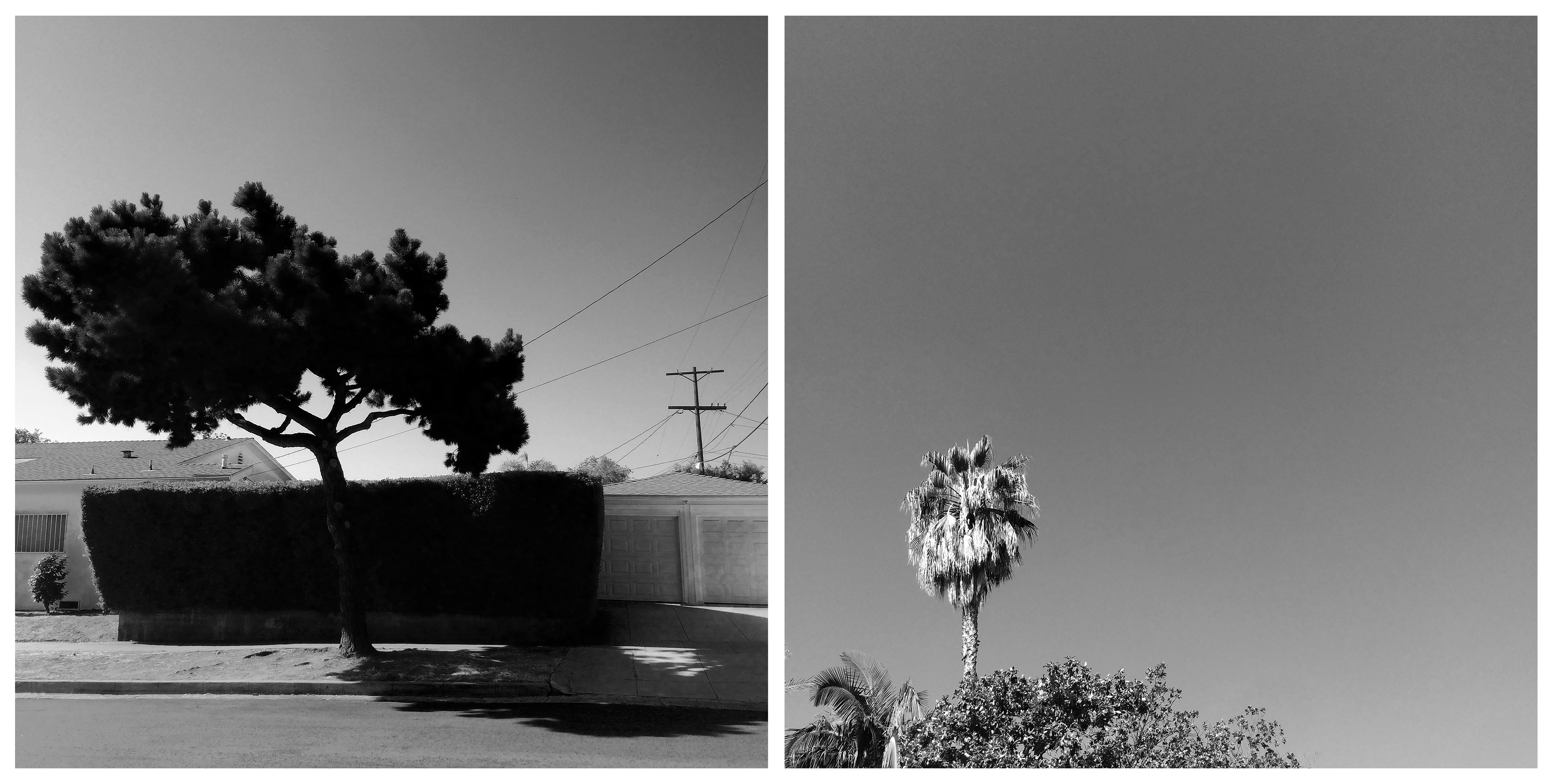HOLLYWOODLAND #5