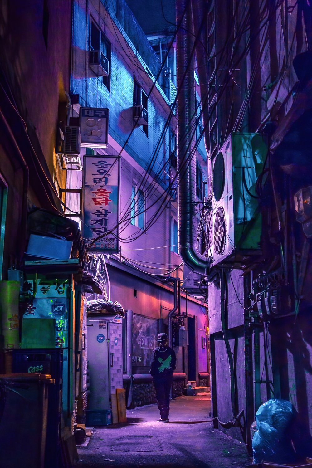 Into the Night