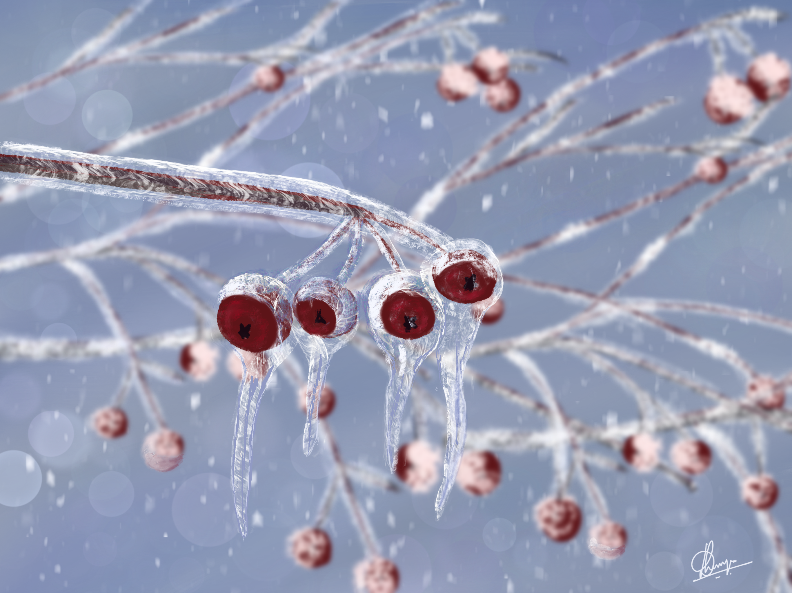 Frozen Winter Berries
