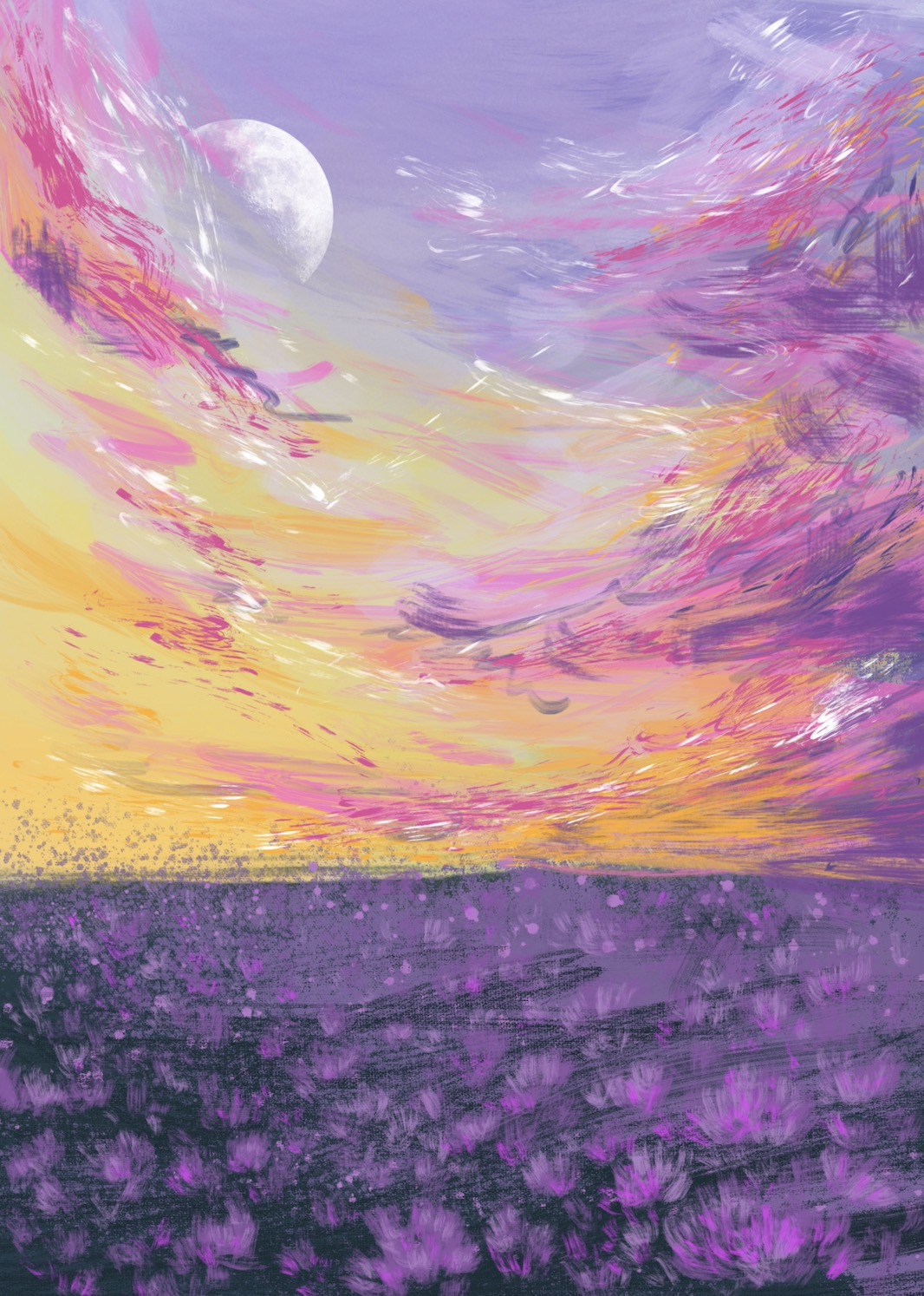 Sky-1