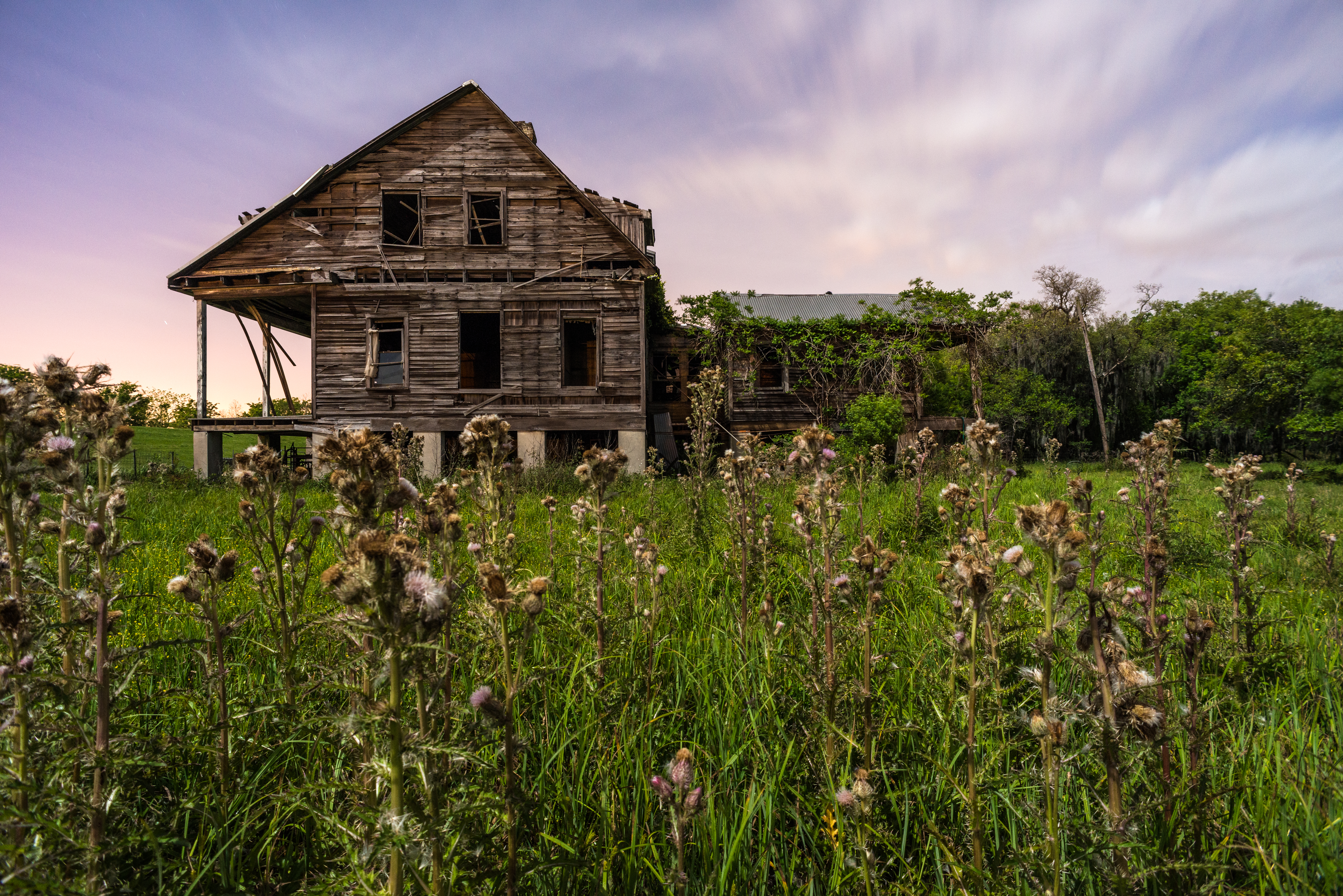 Harlem Plantation III
