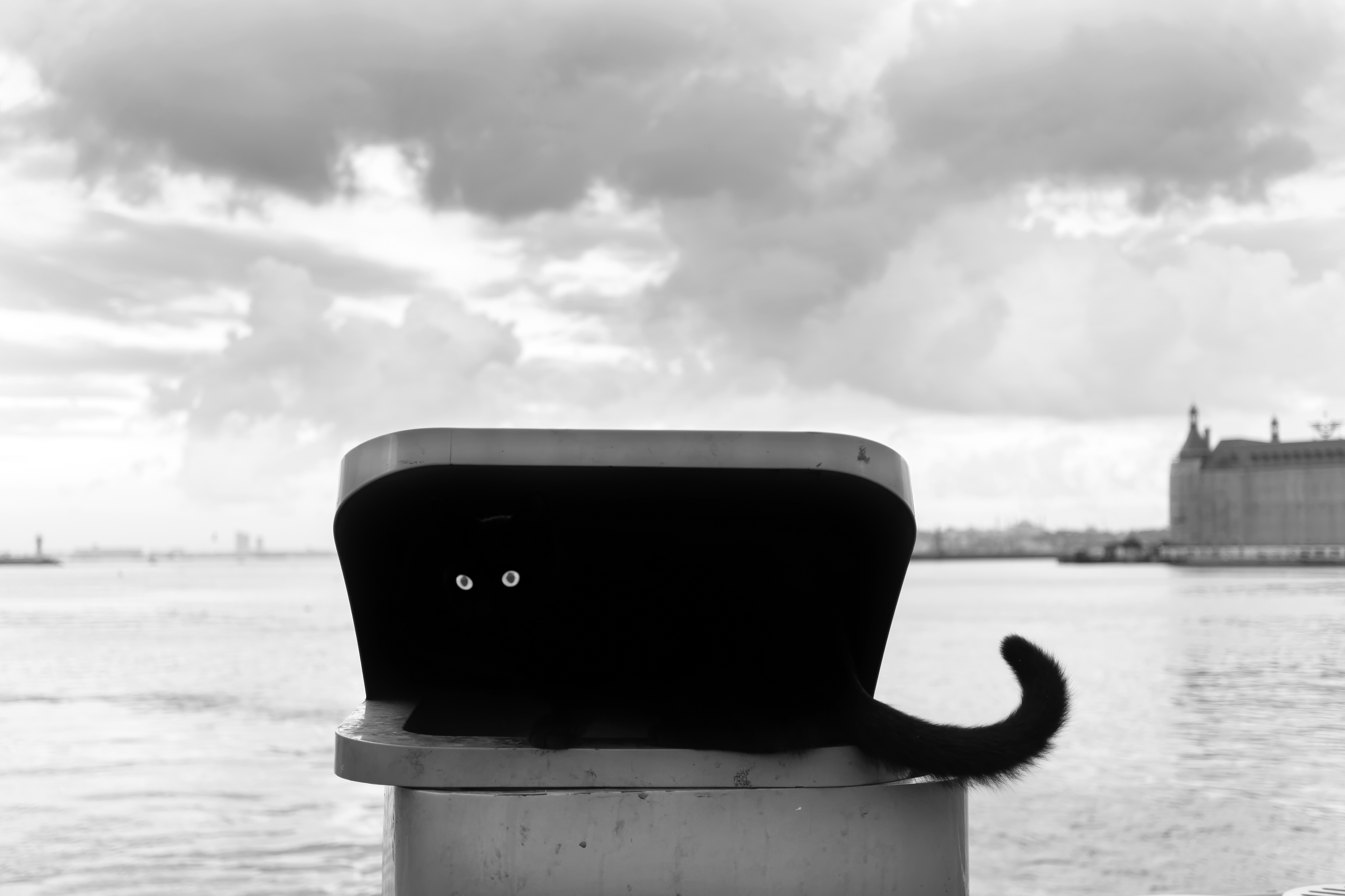 Camouflage