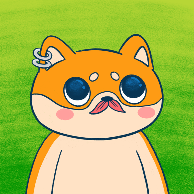 Super Shiba #10003