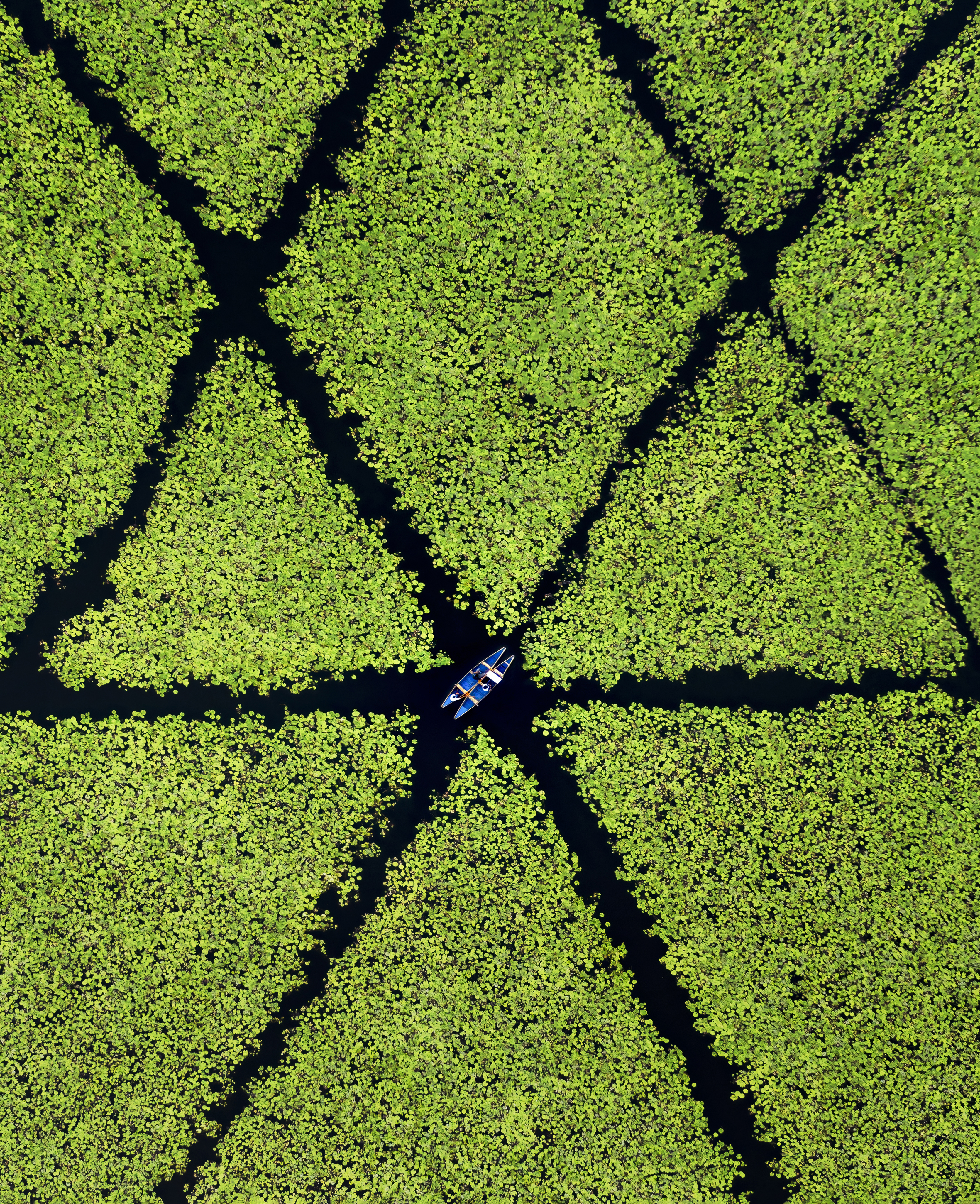 The Floating Maze