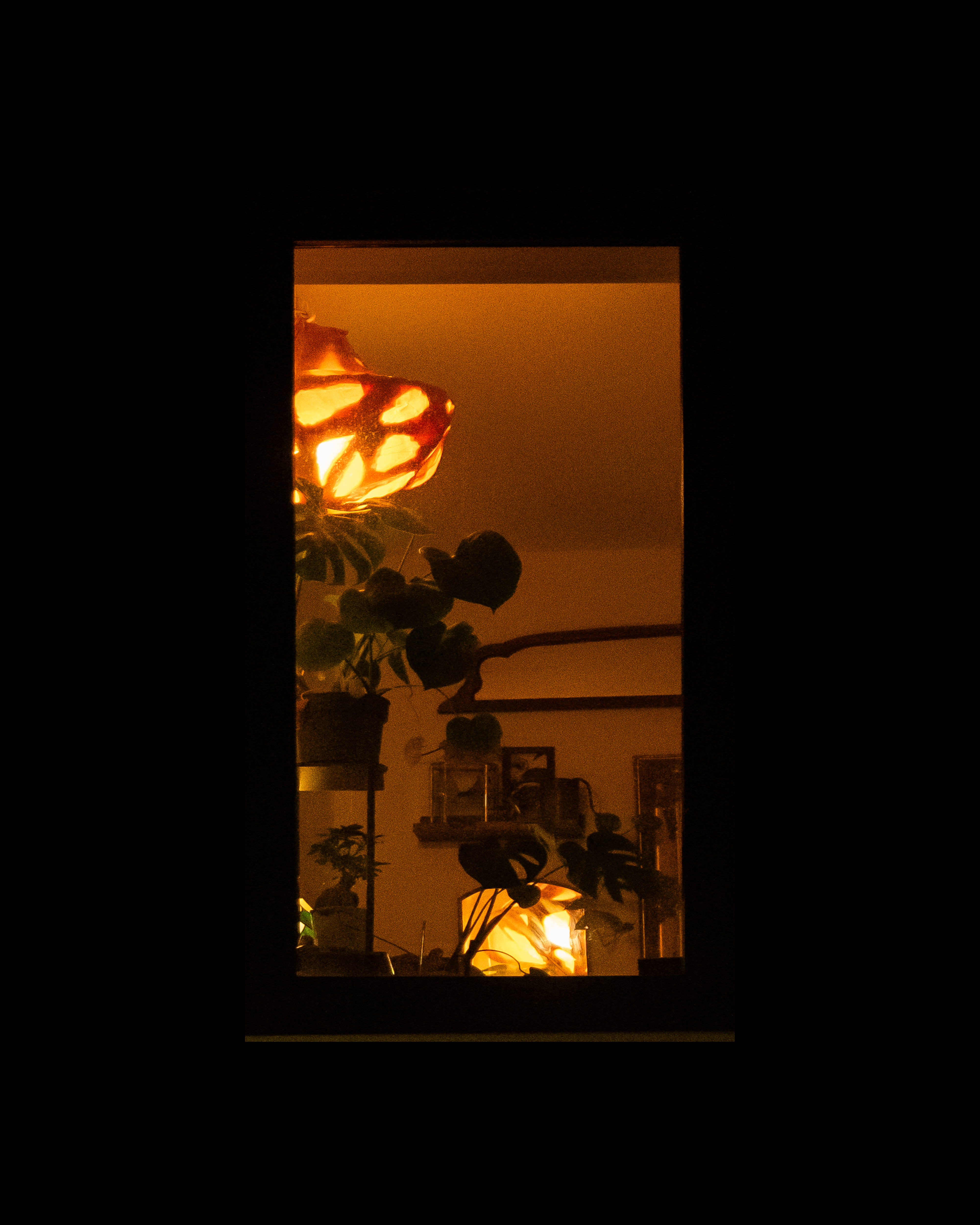 WINDOW 214