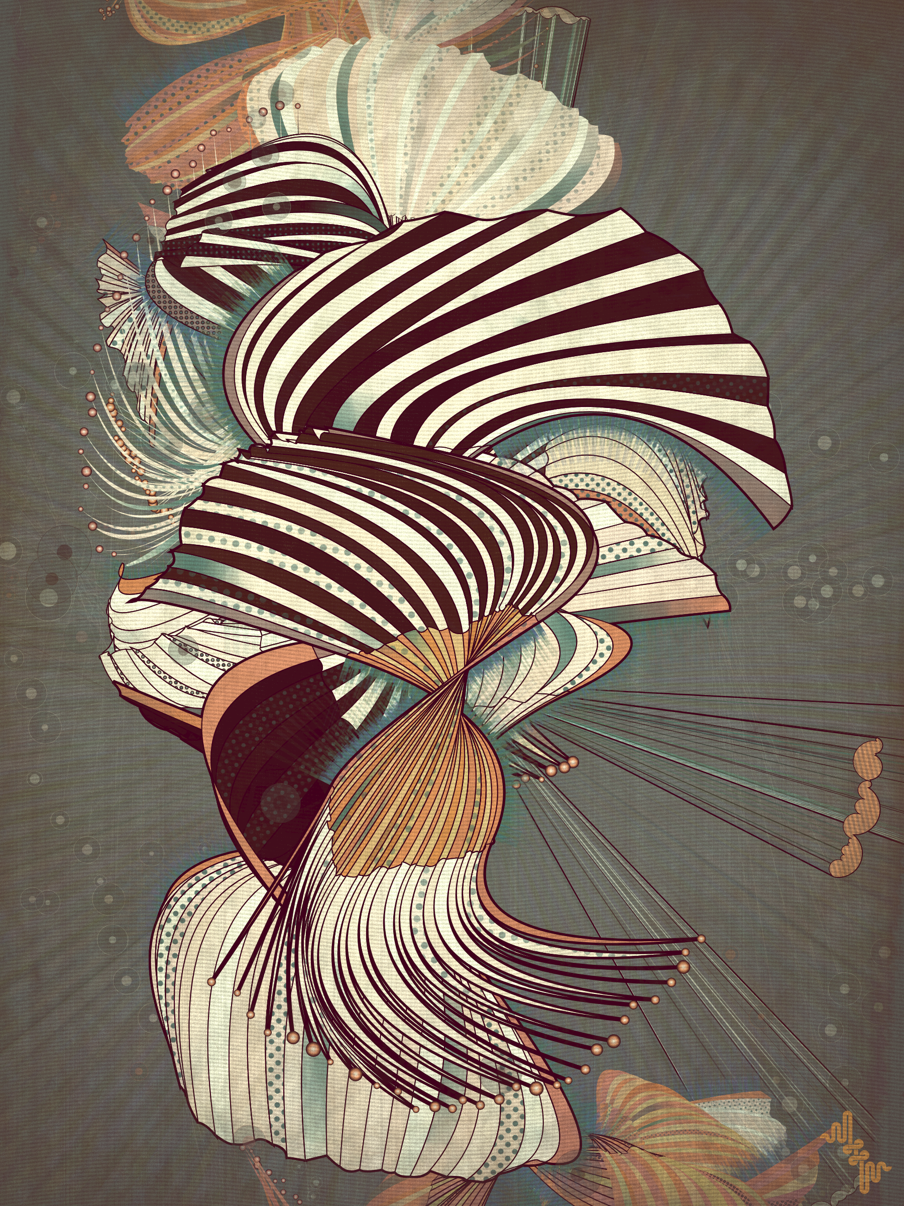 Velum #65
