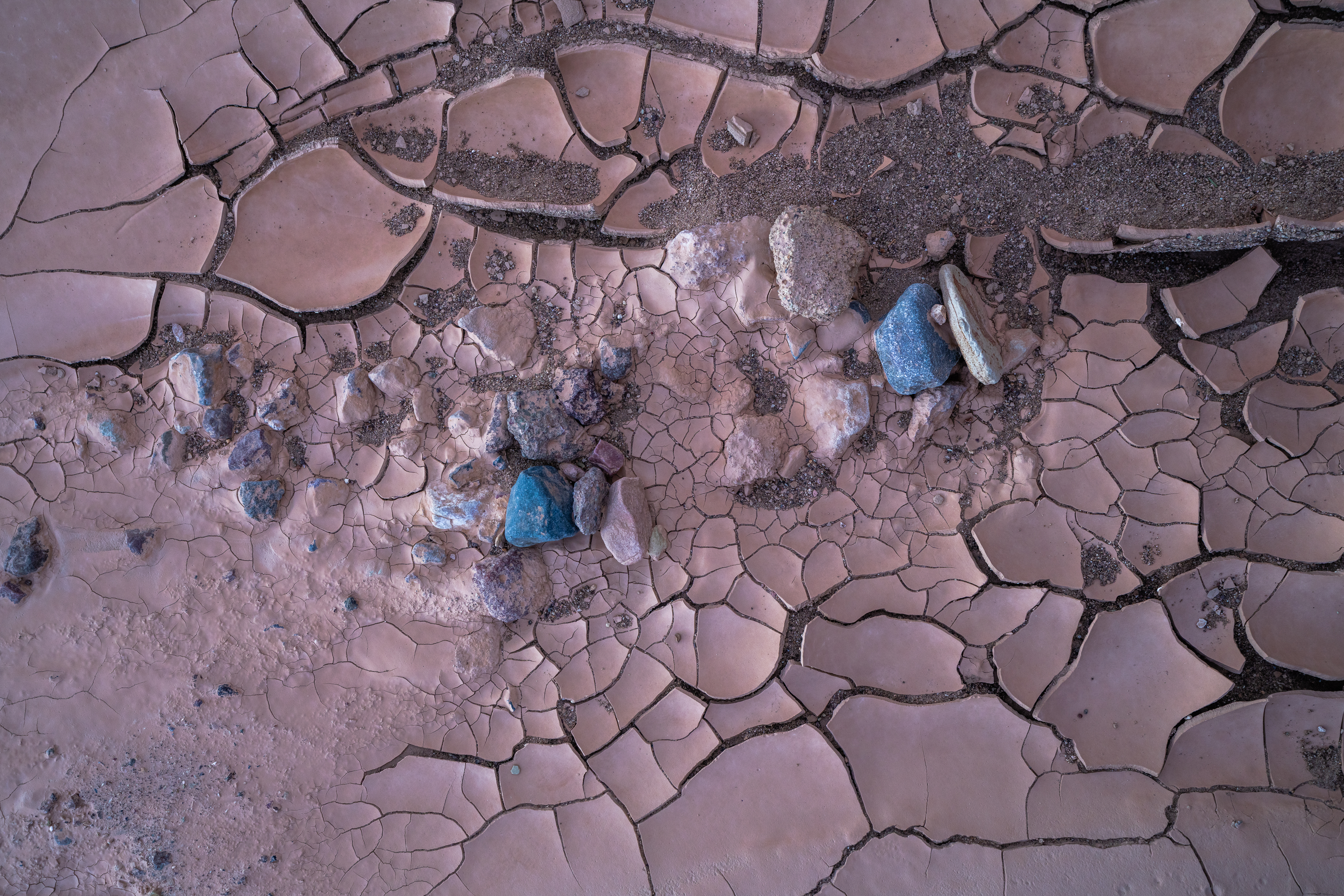 Small Treasures - ReGeneration #14