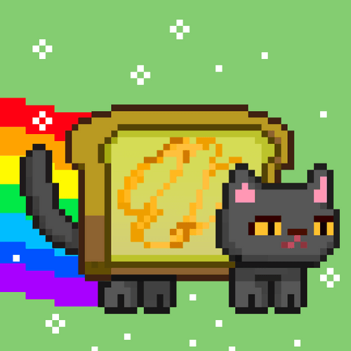 flappycat#1500