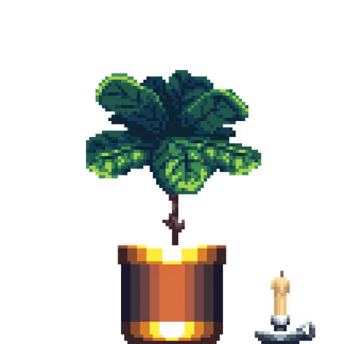 Fiddle-Leaf Fig in Large Dual Tone pot with Candle