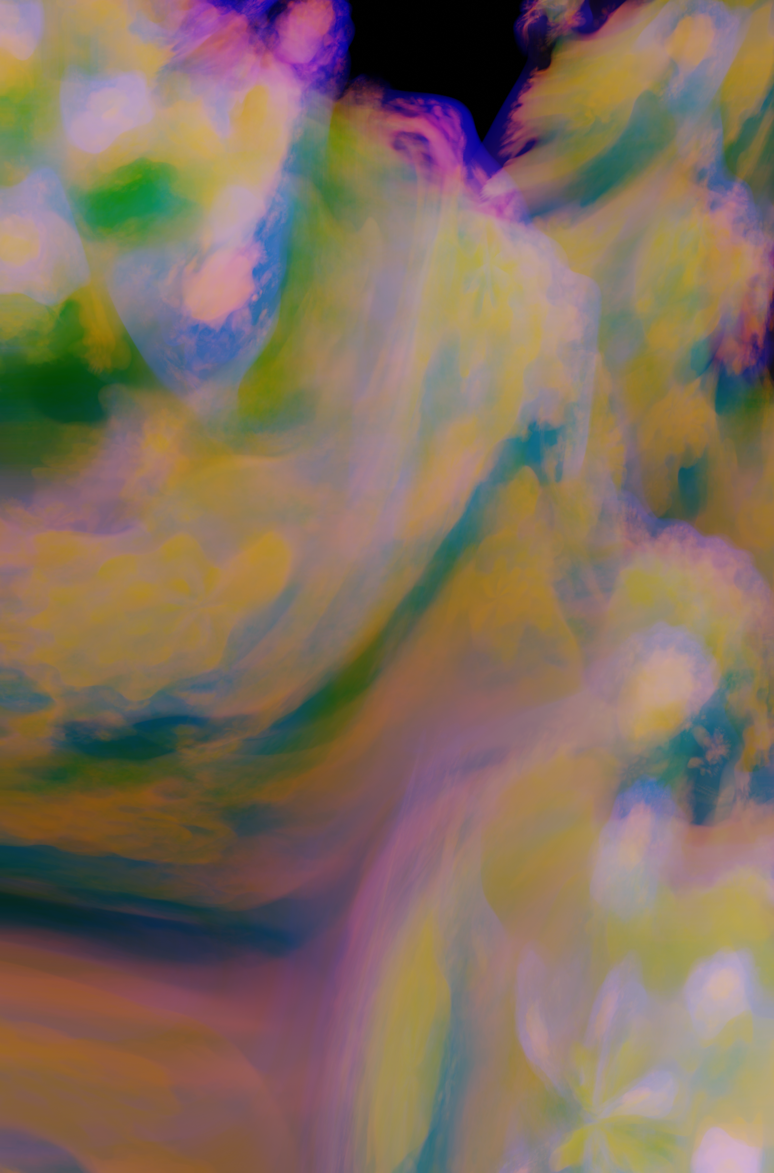 Mandelbulb #13