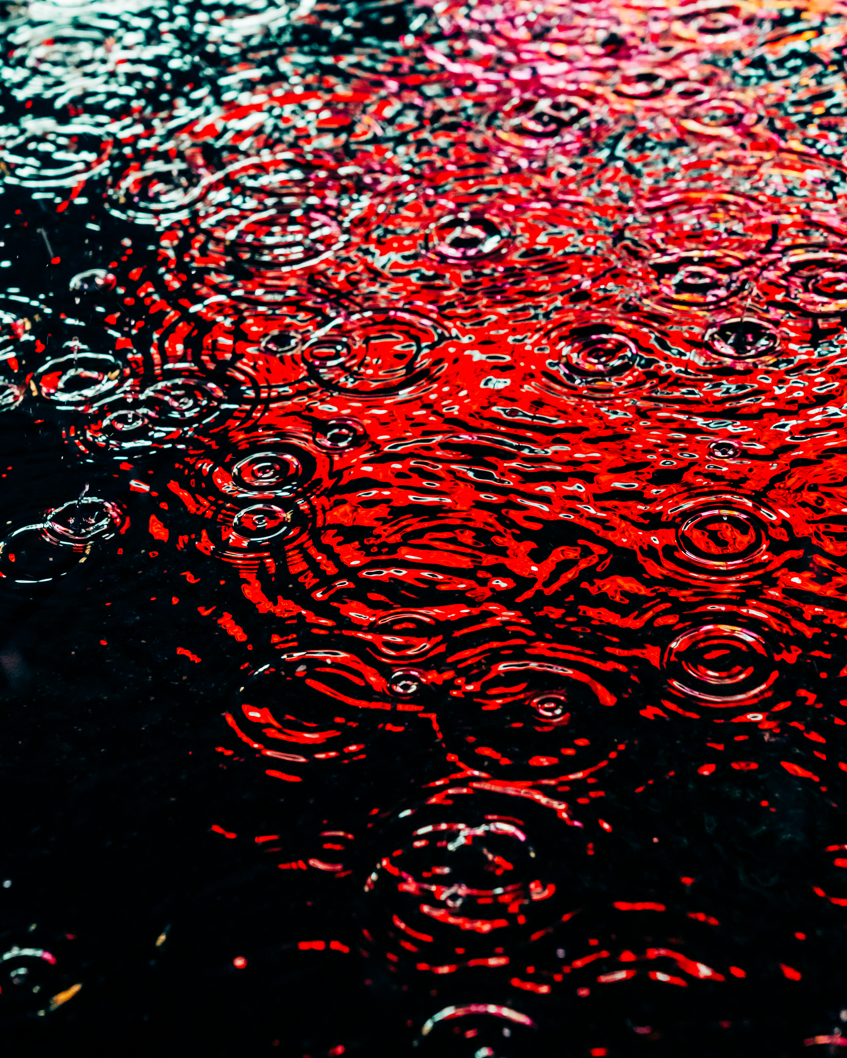 DRIP #289