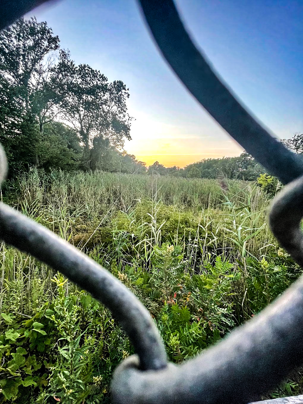 Gated