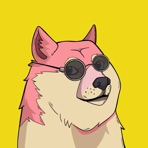 Slumdoge #7737