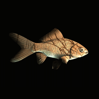 CryptoFish #2428