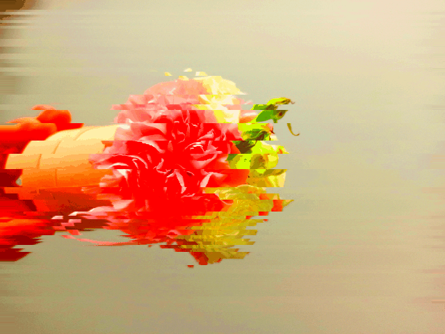 Flower 9