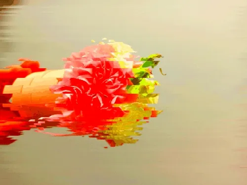 Flower 9
