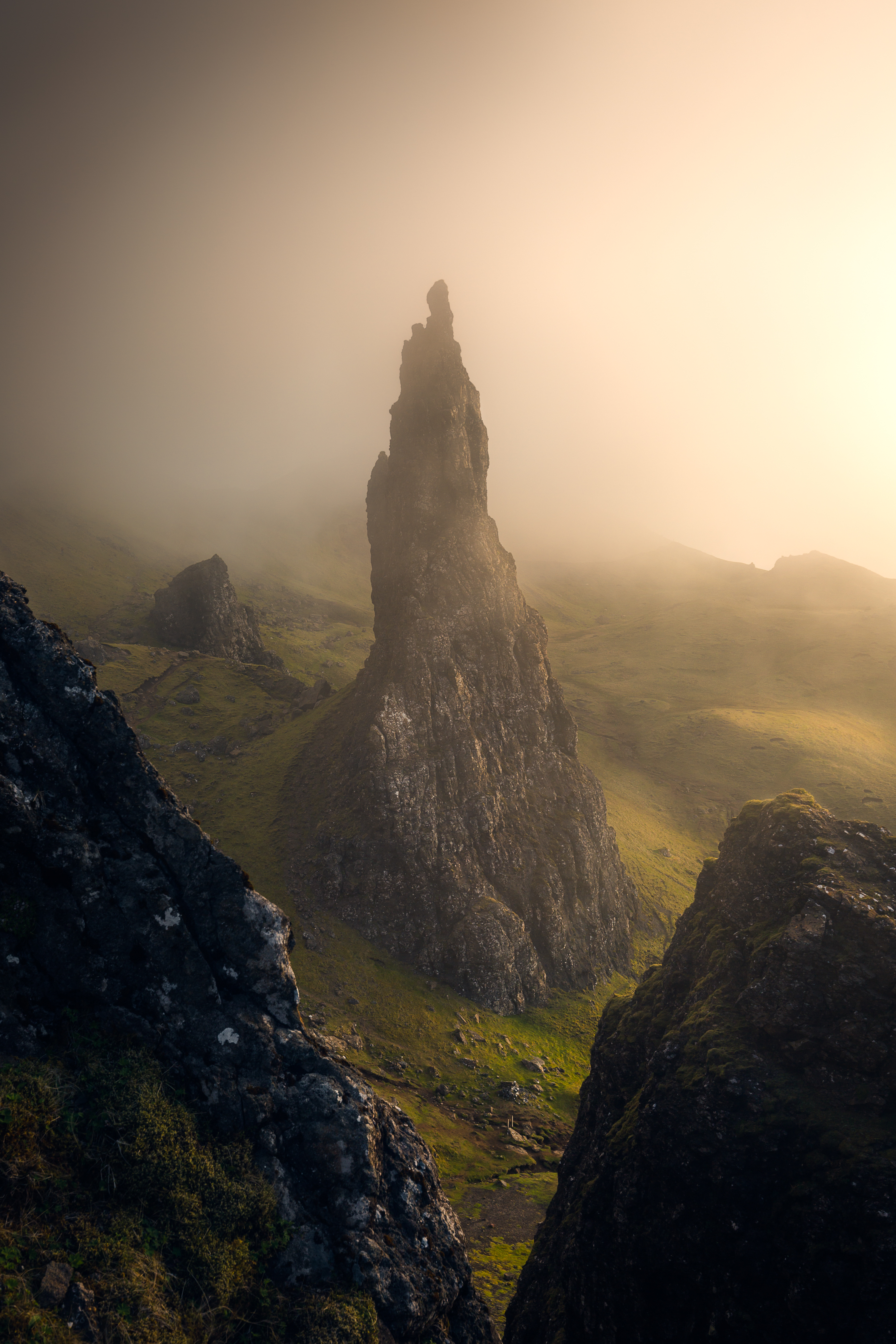 Wilderness to Blockchain #42 - Lost world