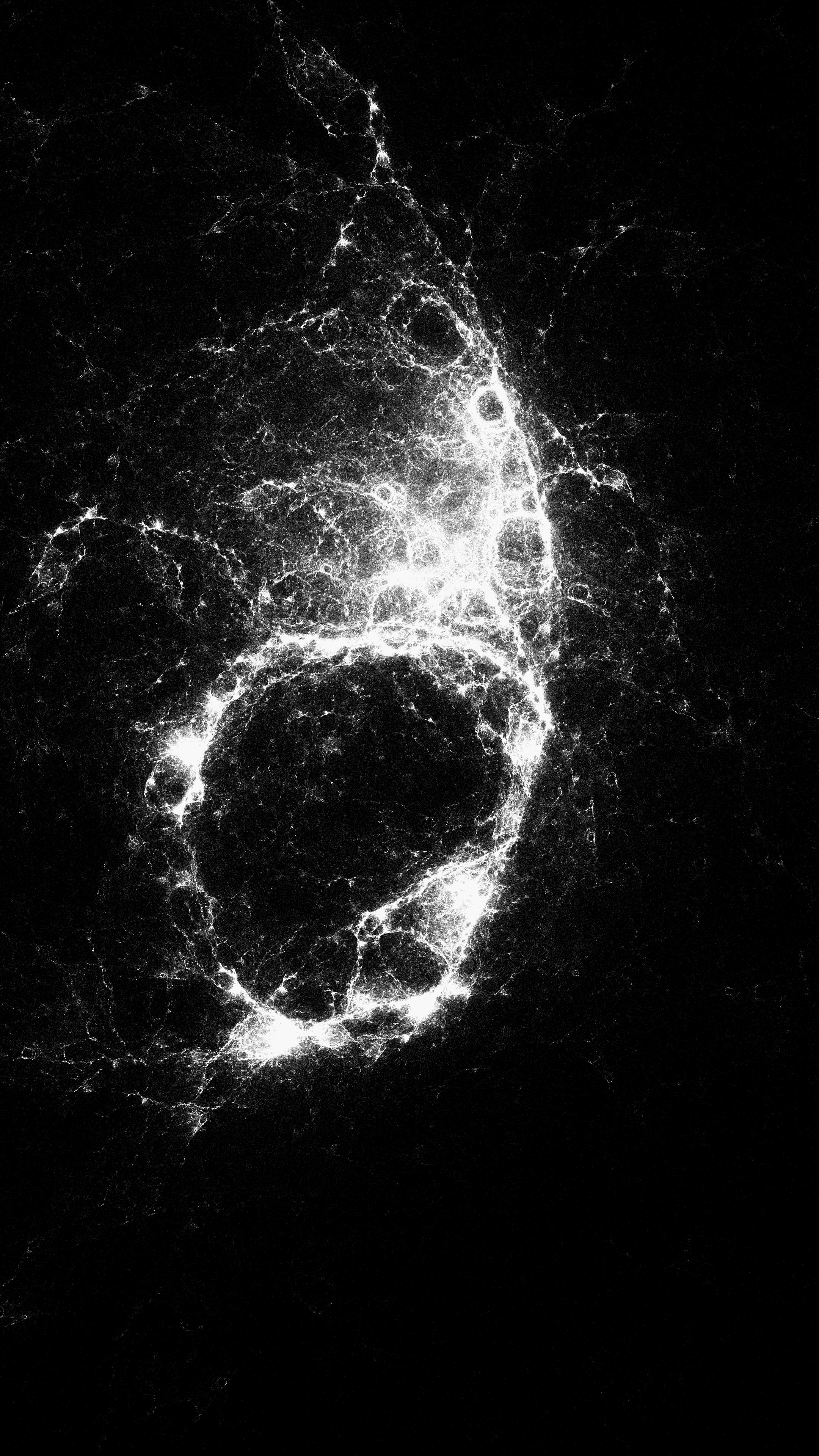 Circle Inversion #2