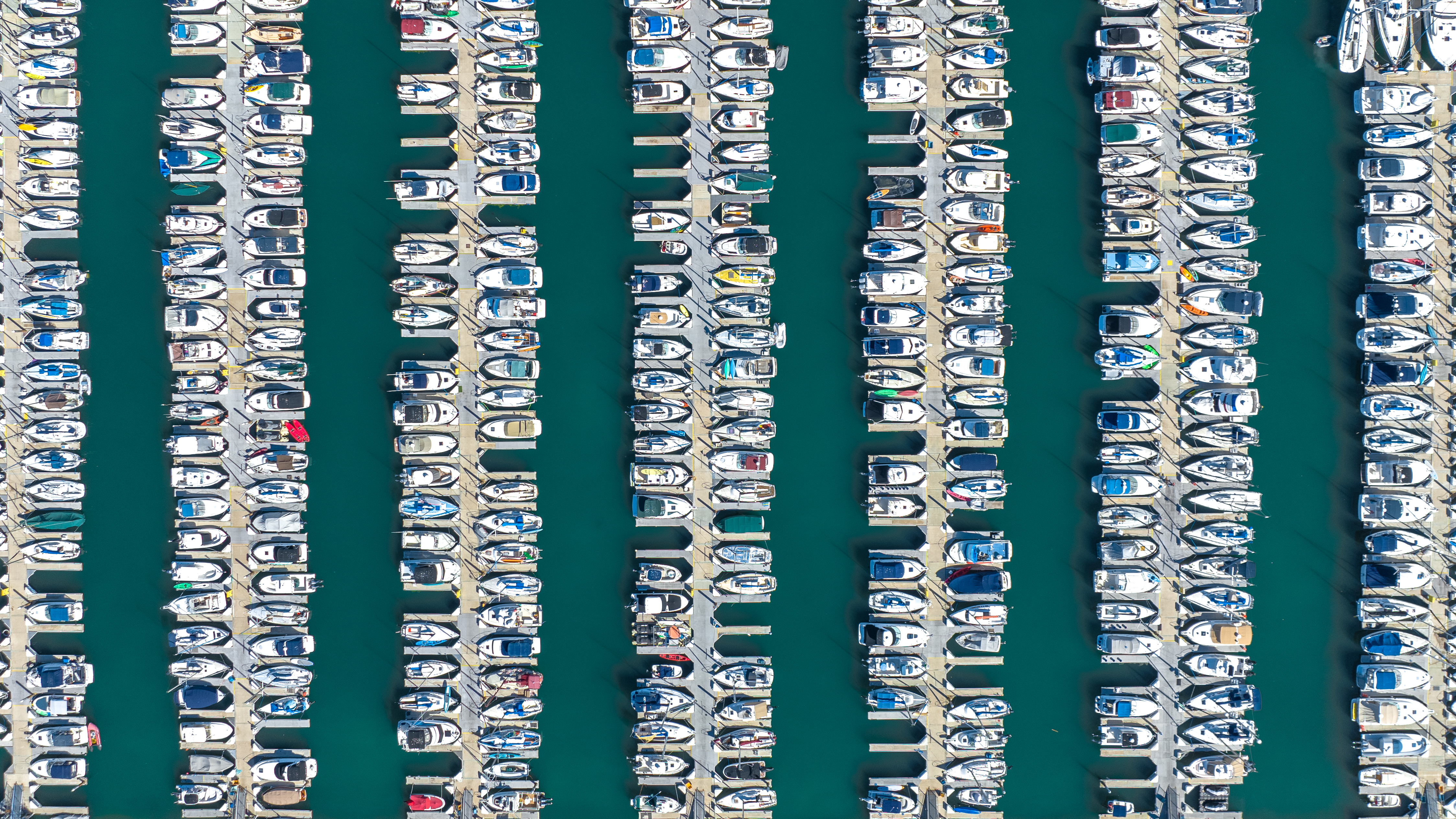 Row Your Boat