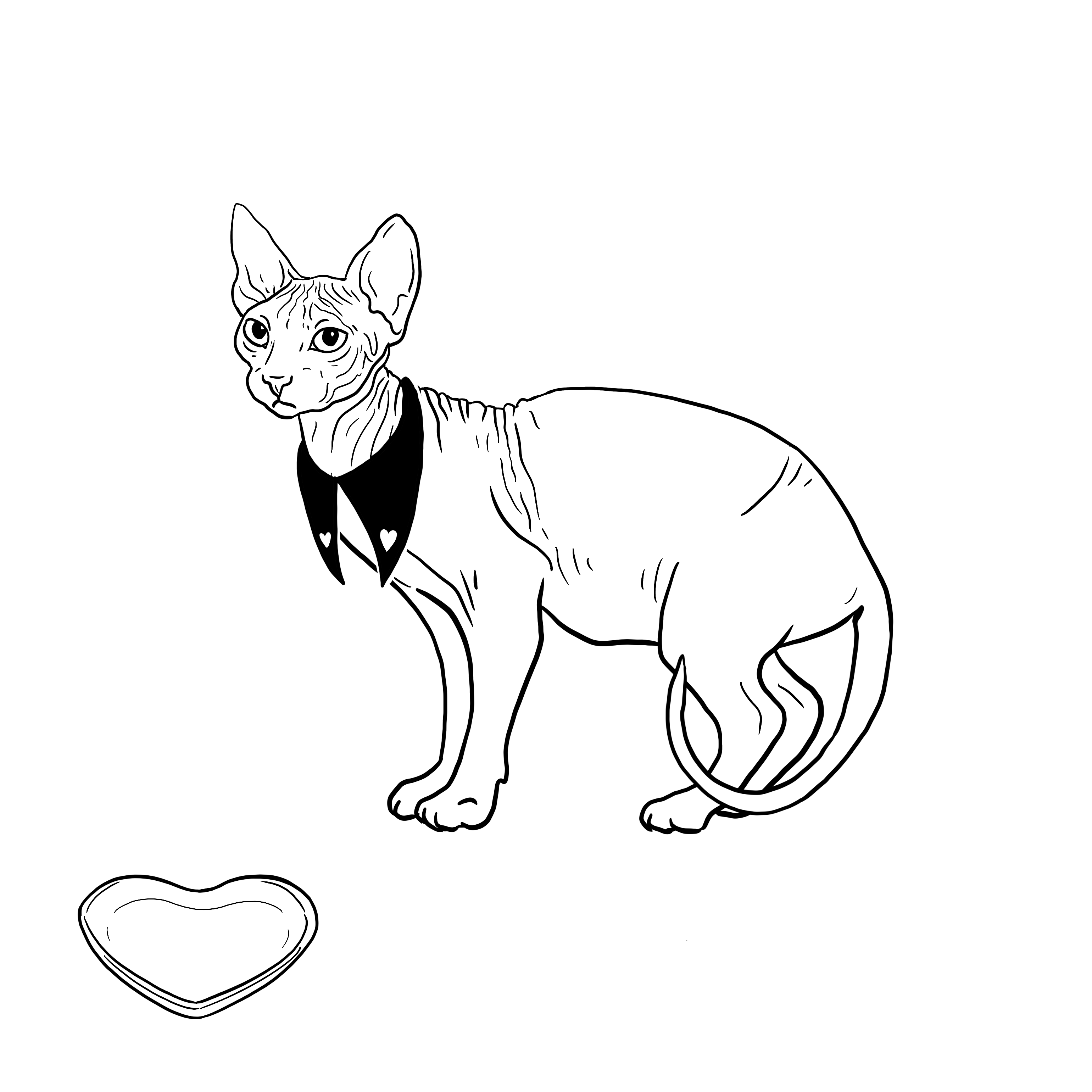 The Sad Cat #6382