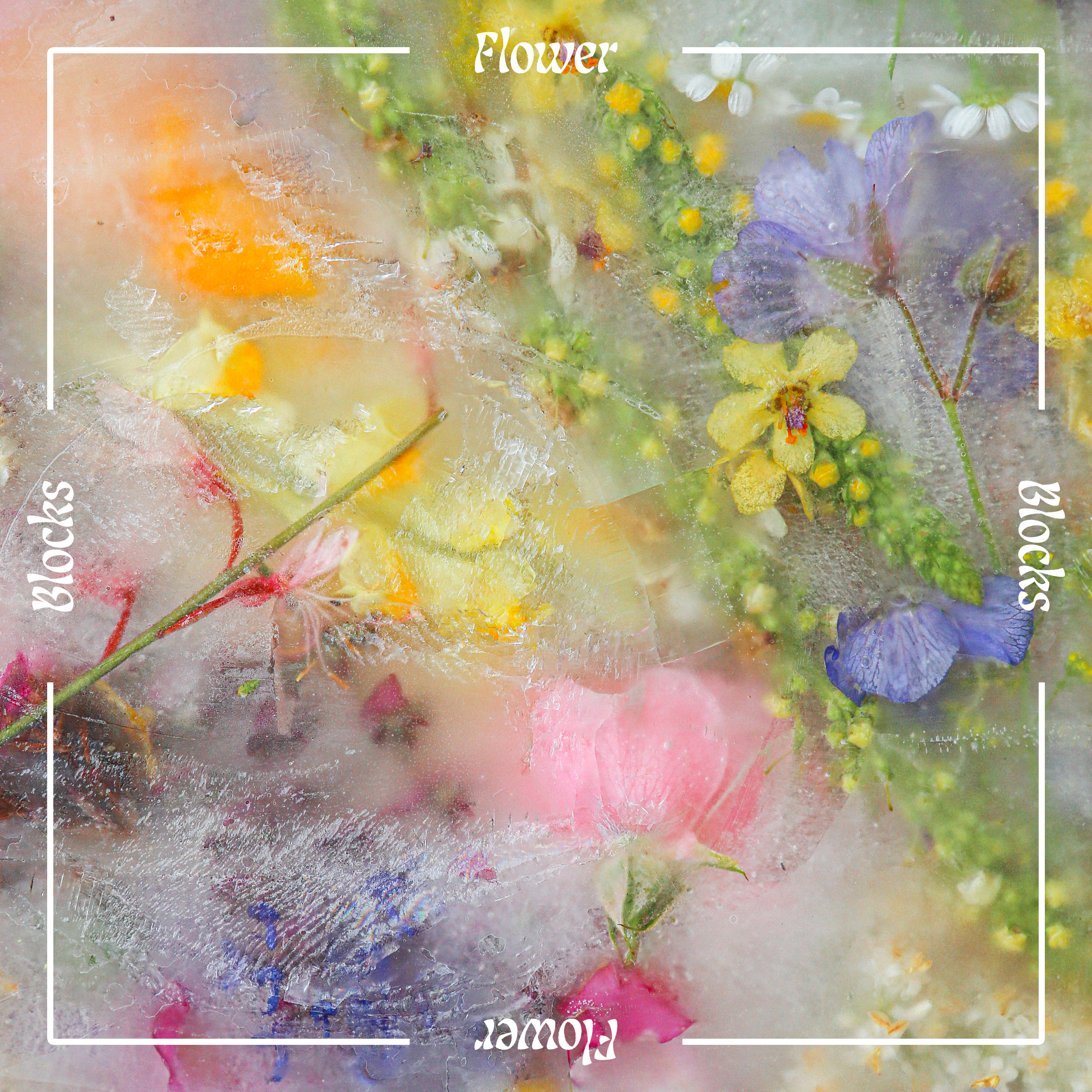 Flower Block Hundred