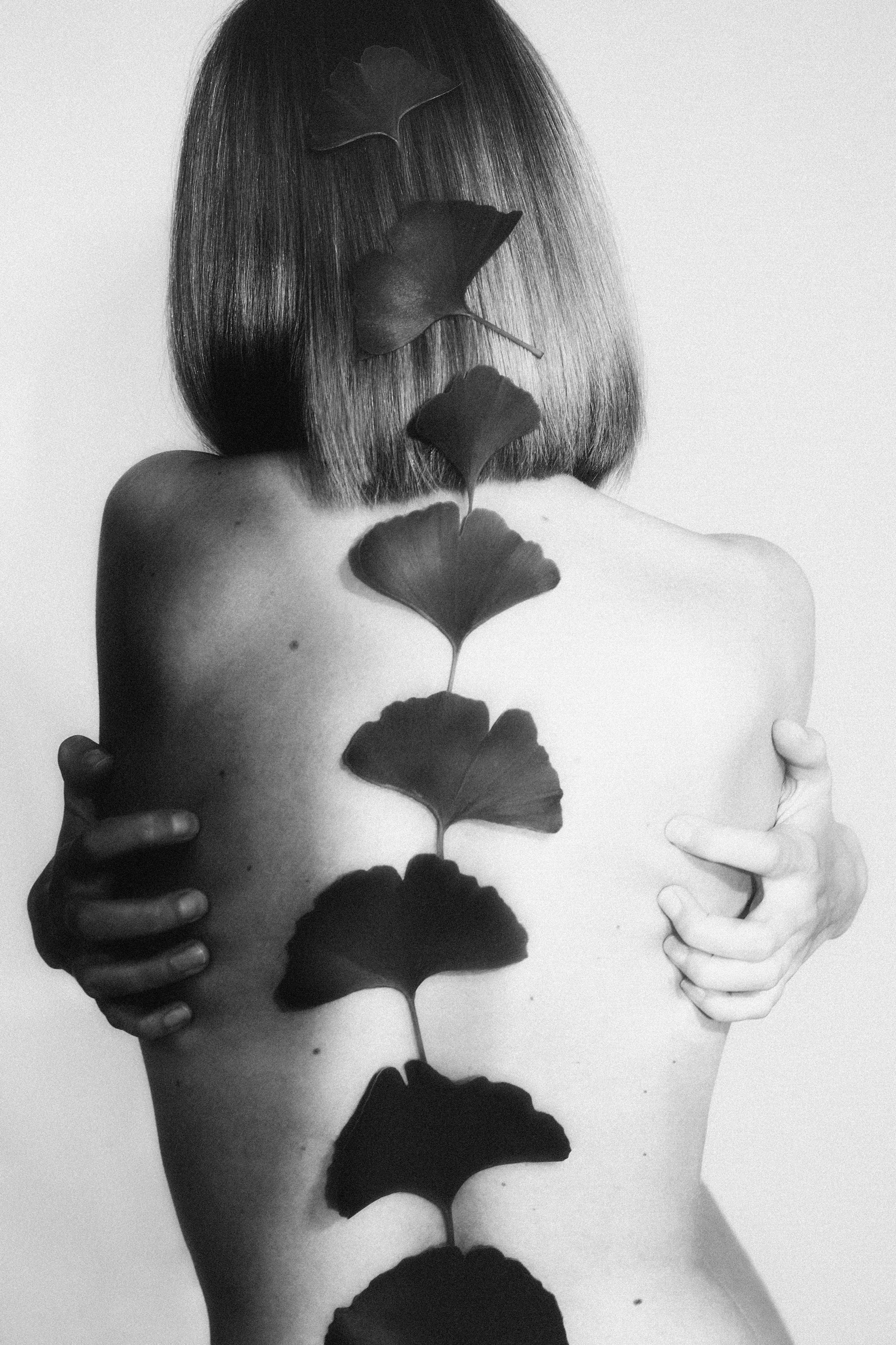 My inner forest