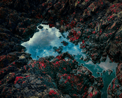 Shallows