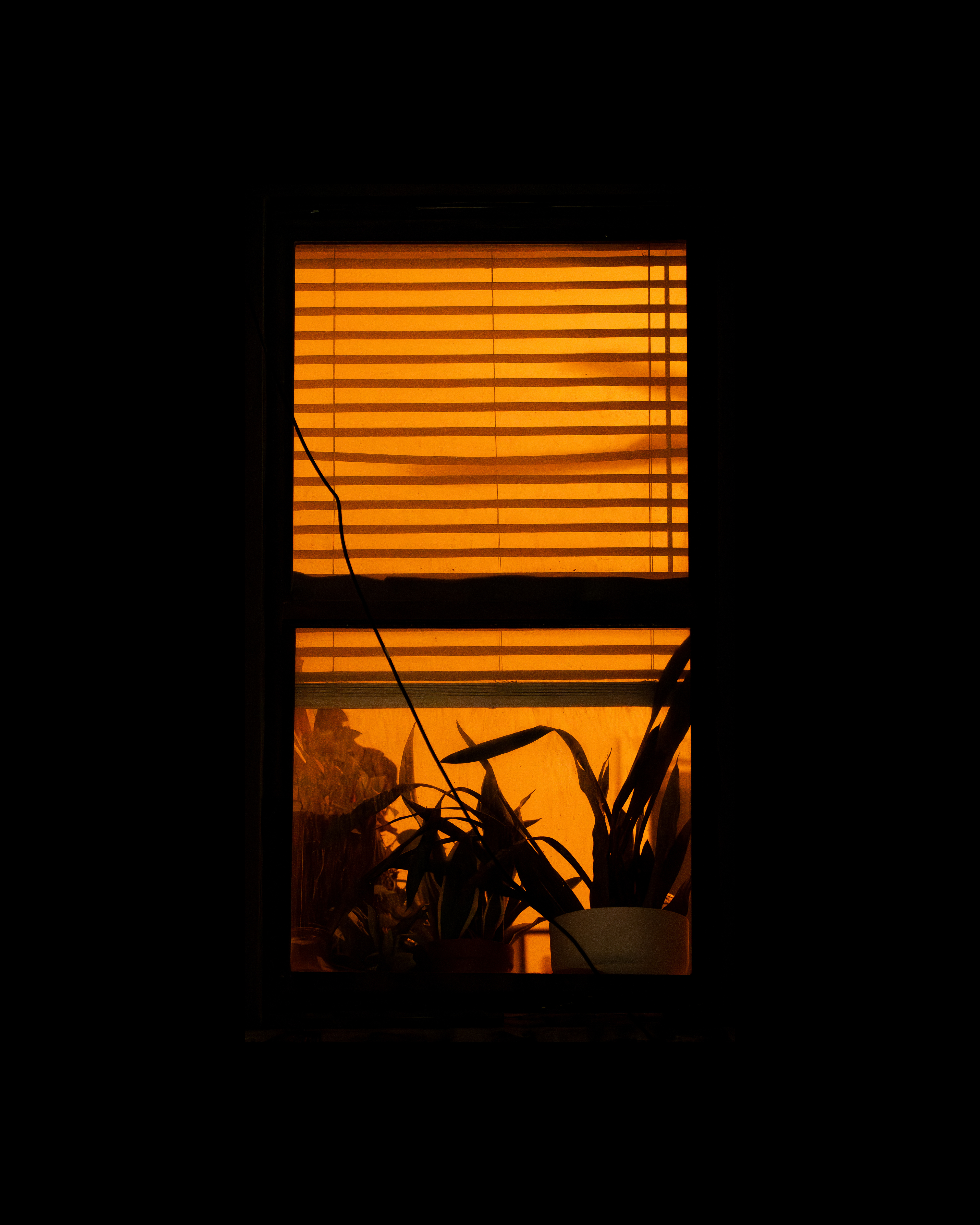 WINDOW 872