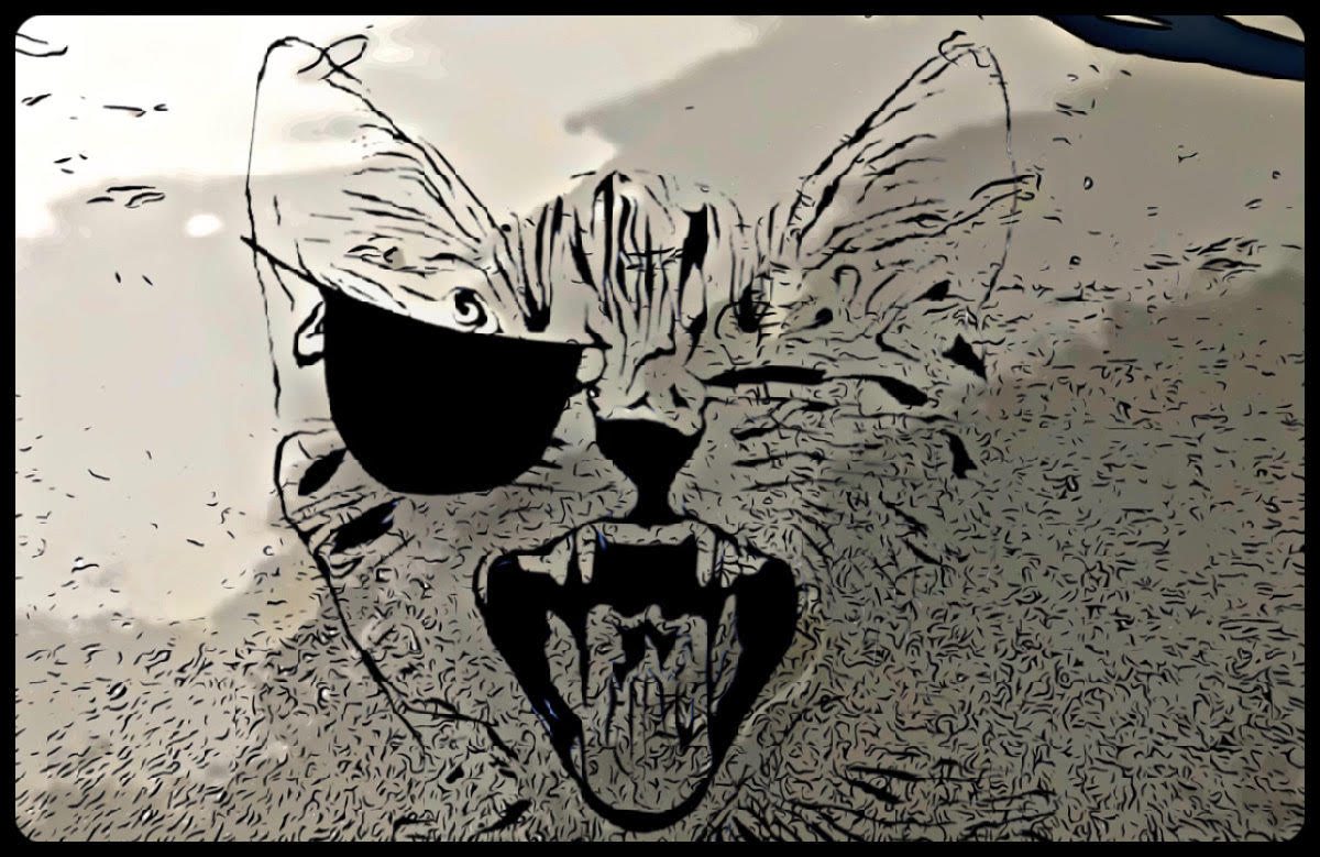 An Angry Scream