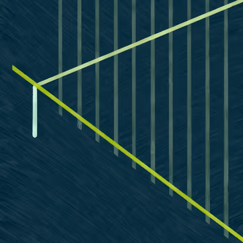 Tamed Lines Two (Diptych)