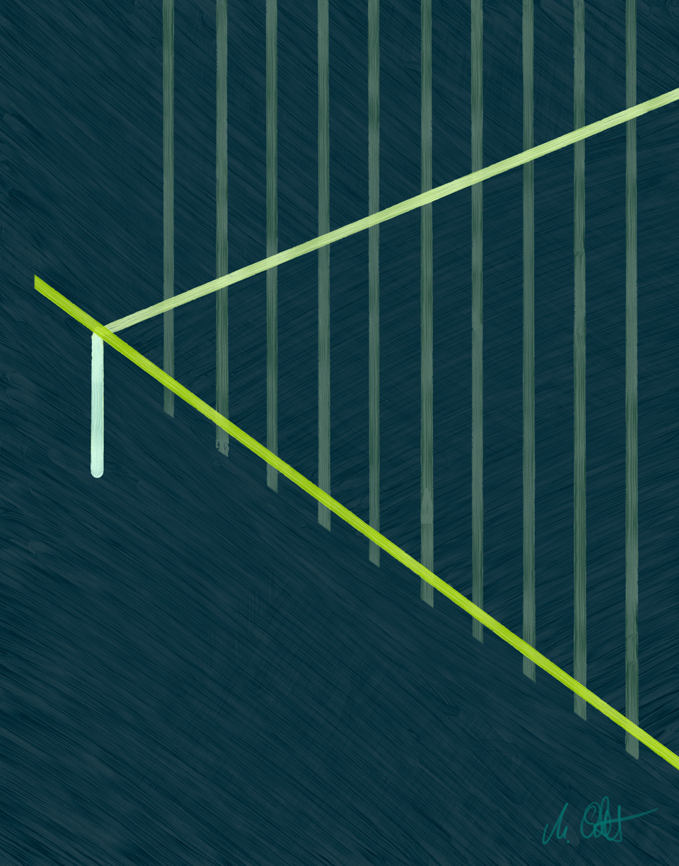 Tamed Lines Two (Diptych)