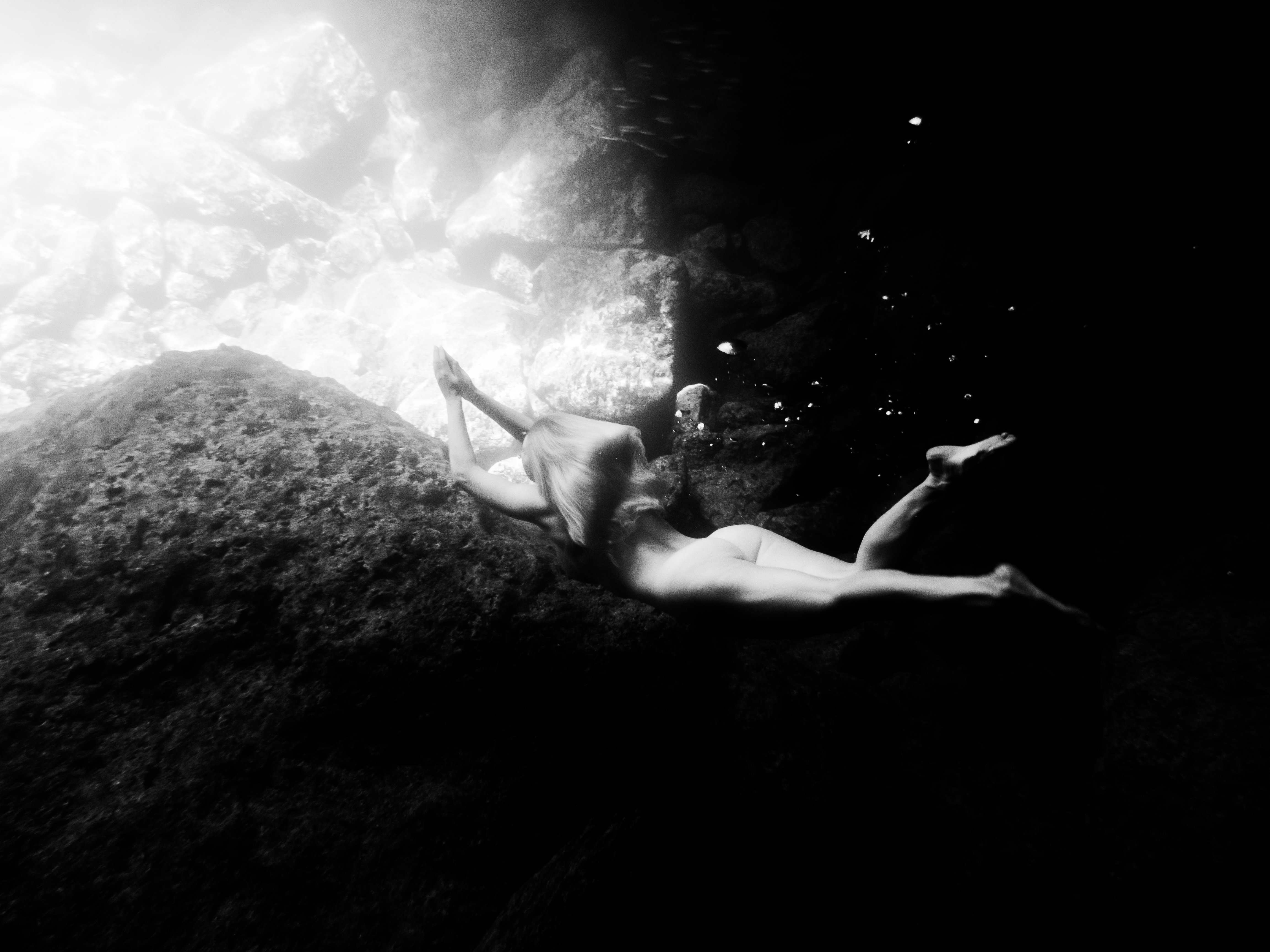 Hold Me in the Light