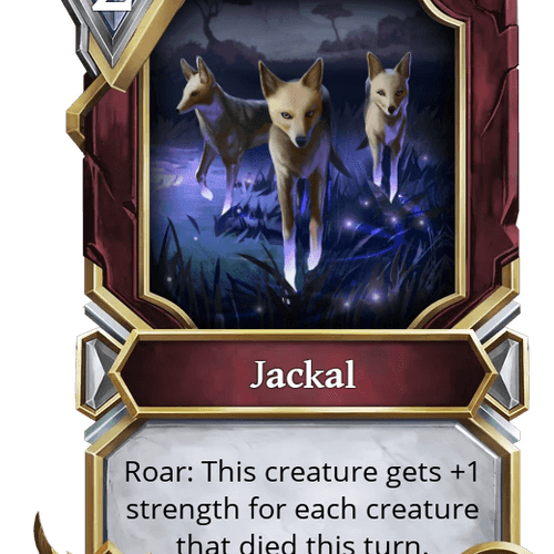 Jackal ID #17591573