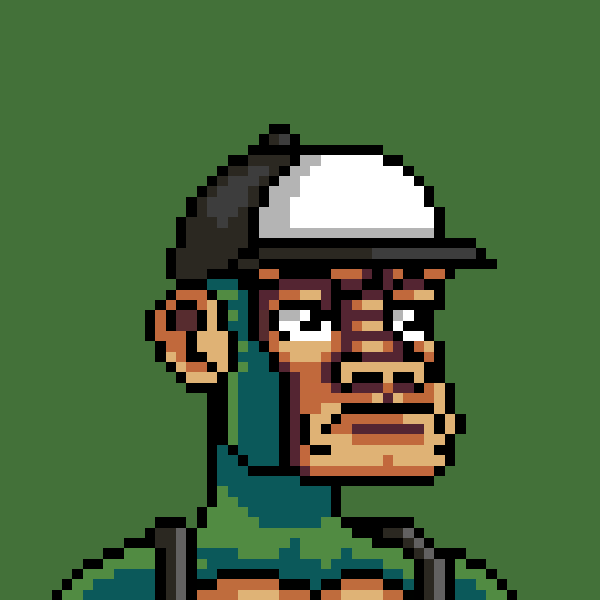 Monkey Republic #941