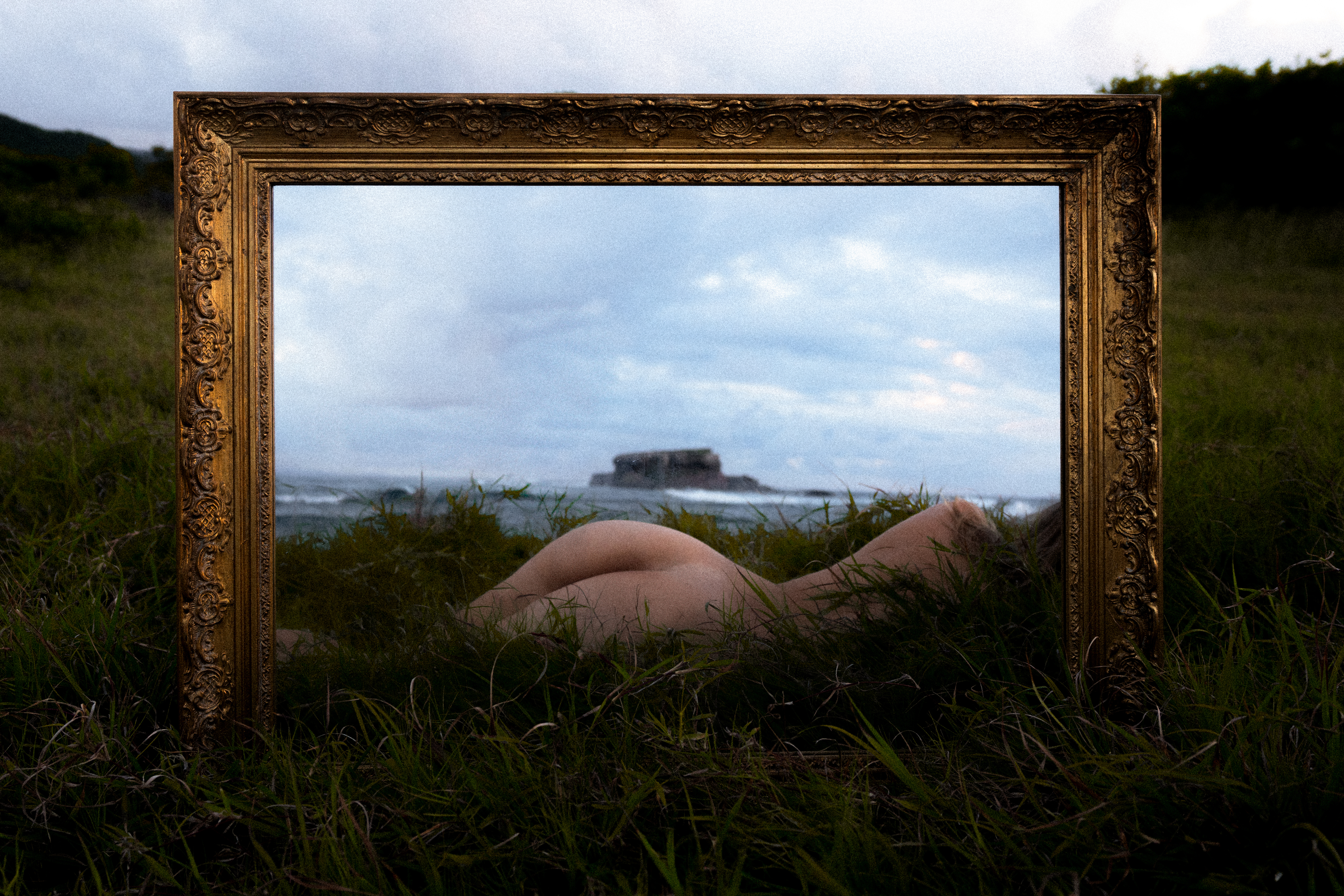 nouvelle nature morte